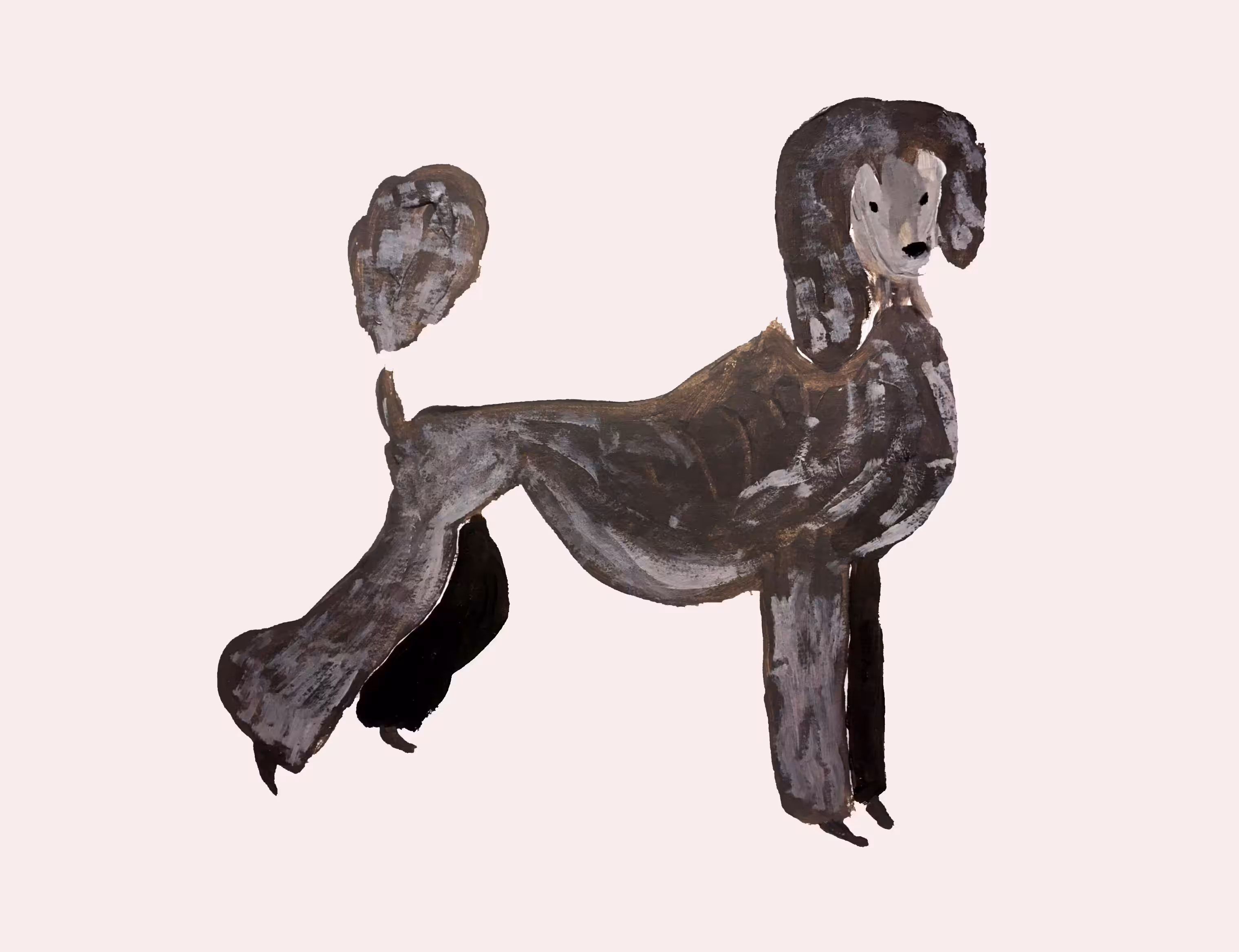Poodle 