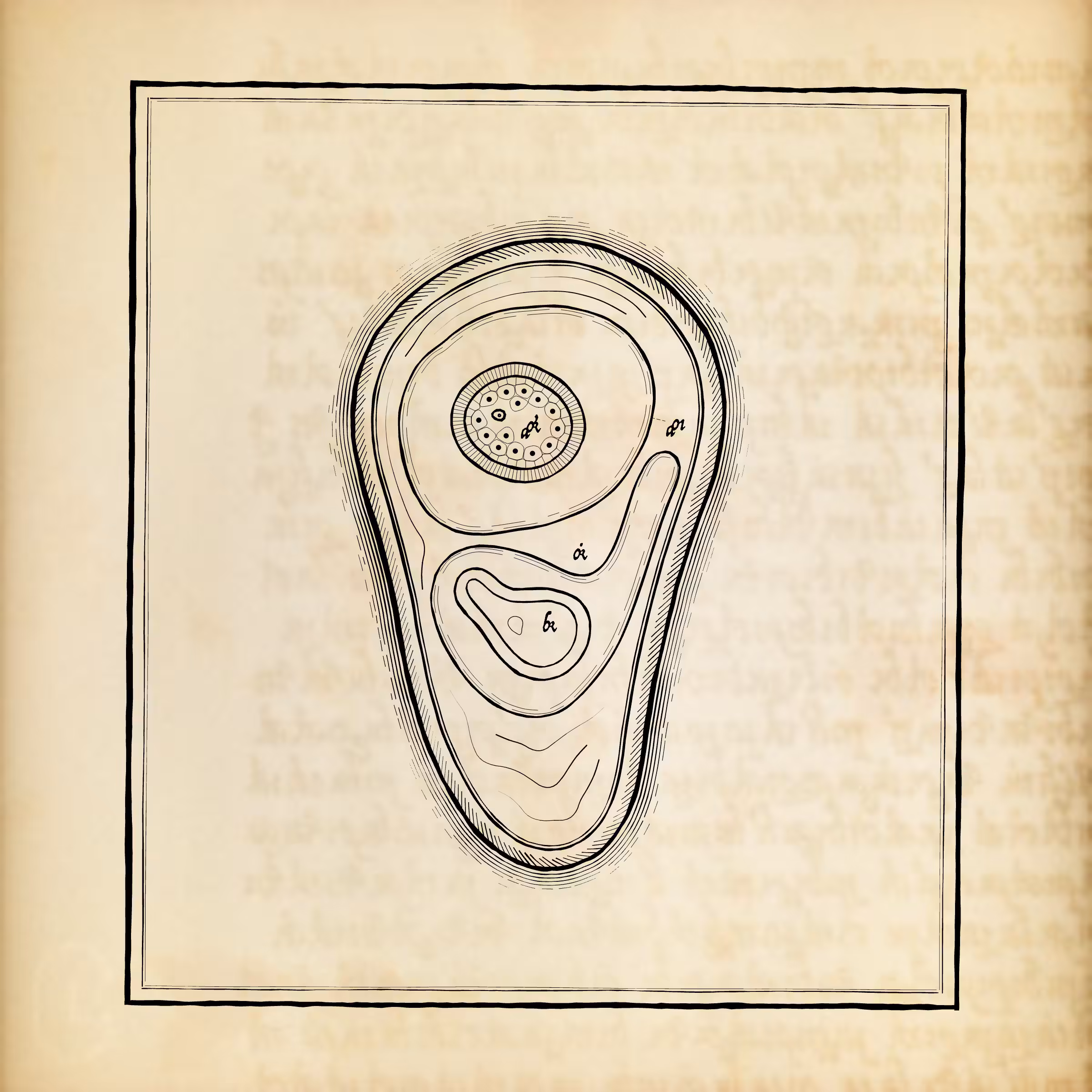 Cytographia #196