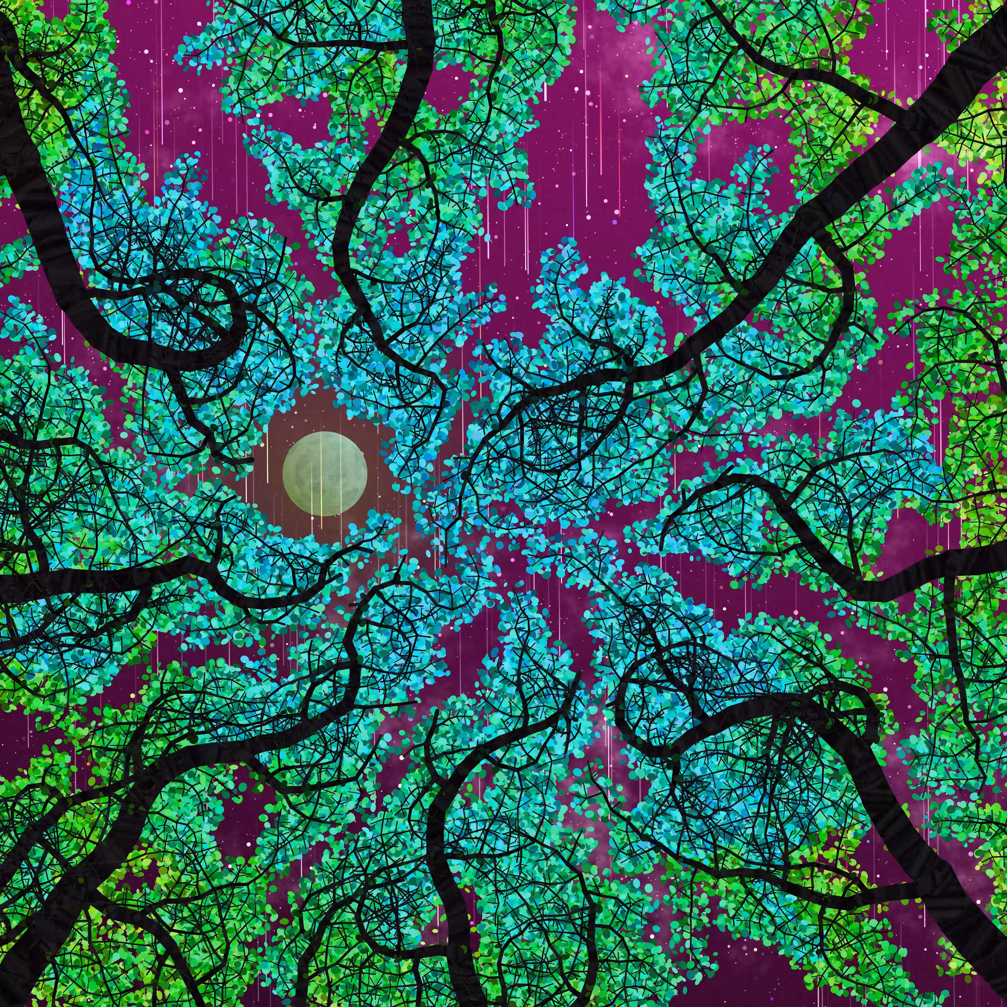 Tree Skyness #4