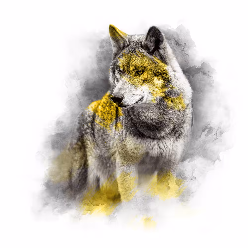 YELLOW SERIES - WOLF