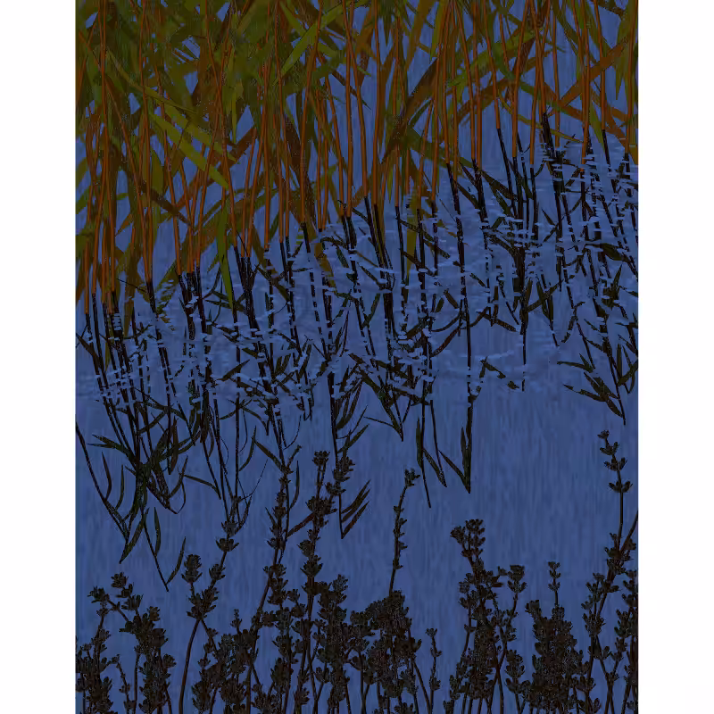 Reflecting pools #12