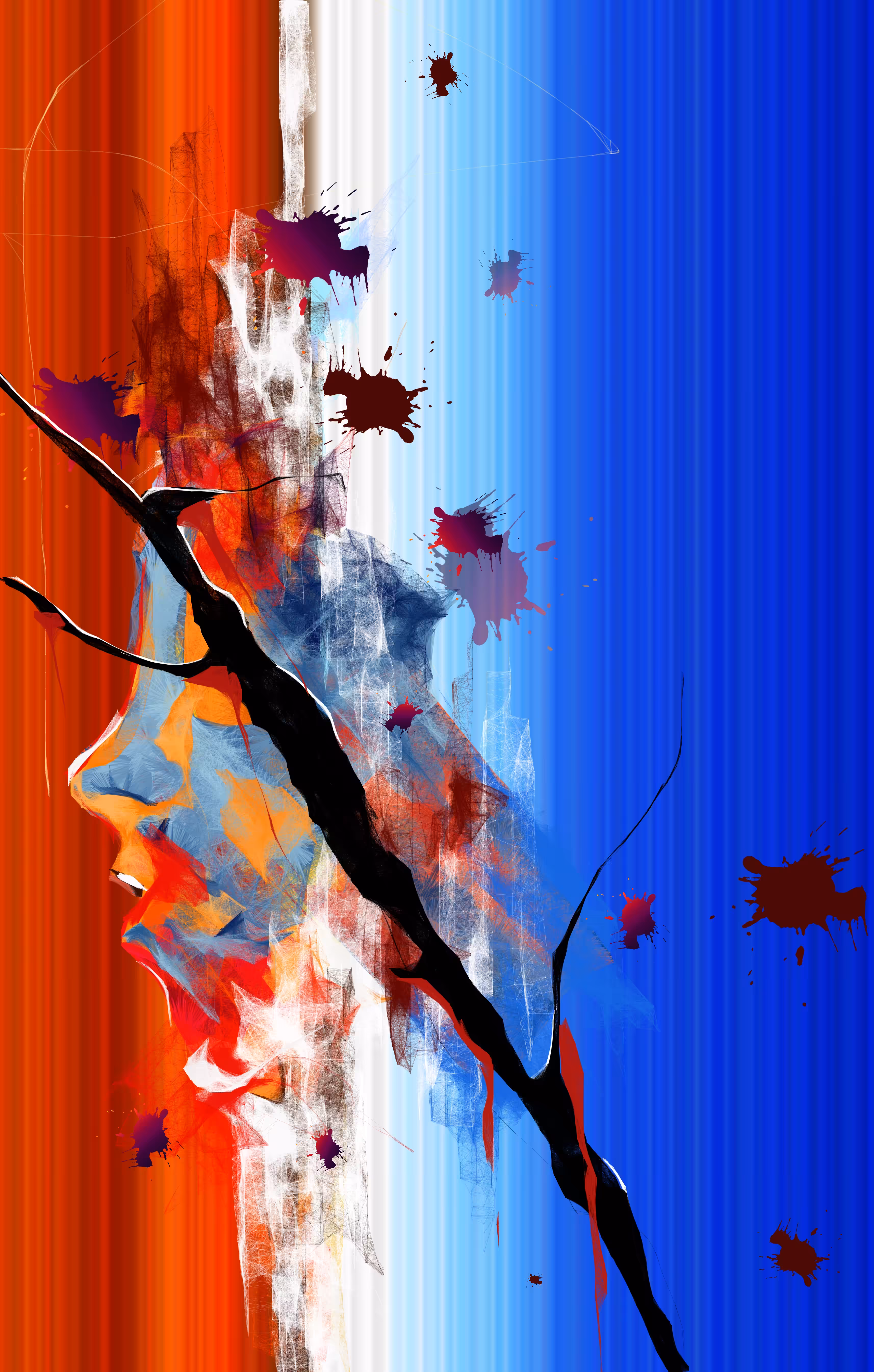 Torn