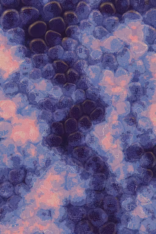Vitreous #61