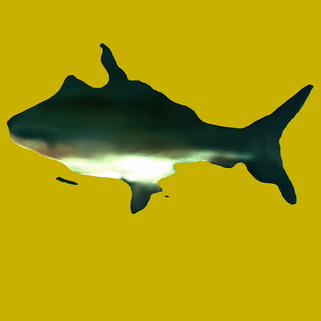 Gib