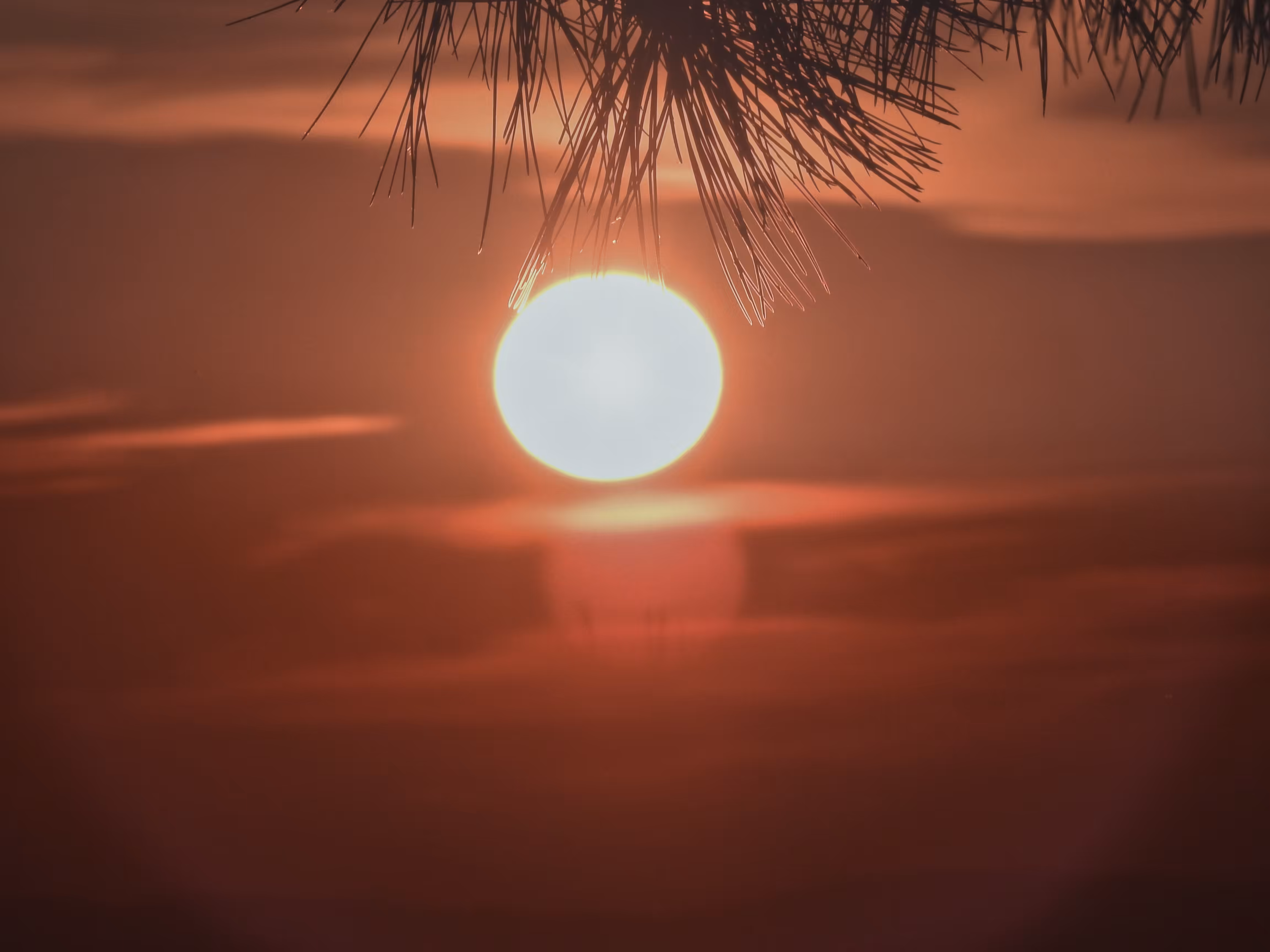 Hikmet Sunset