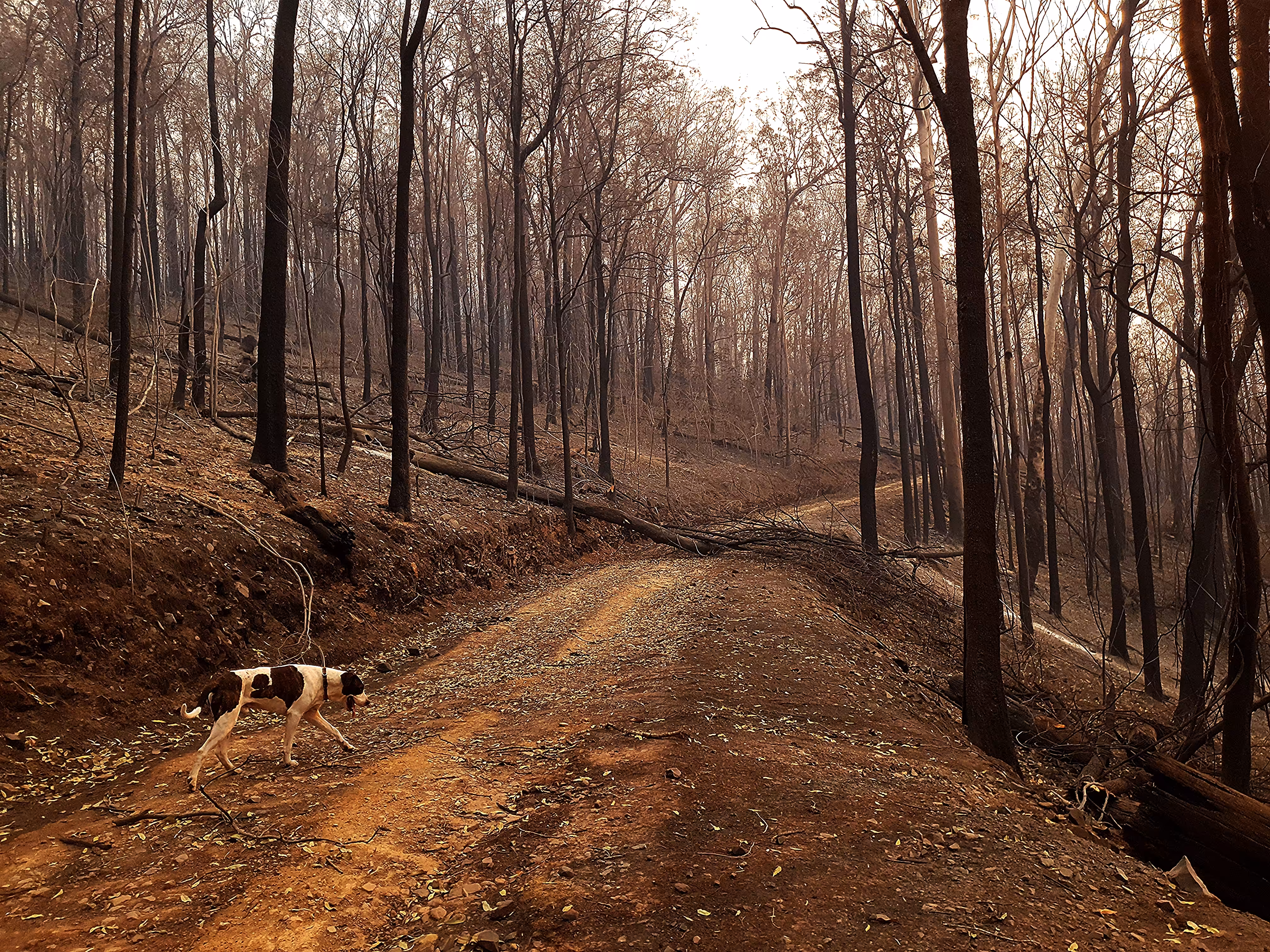 4. The Long Walk Home. 