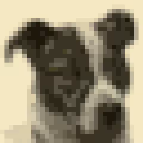 Le chien