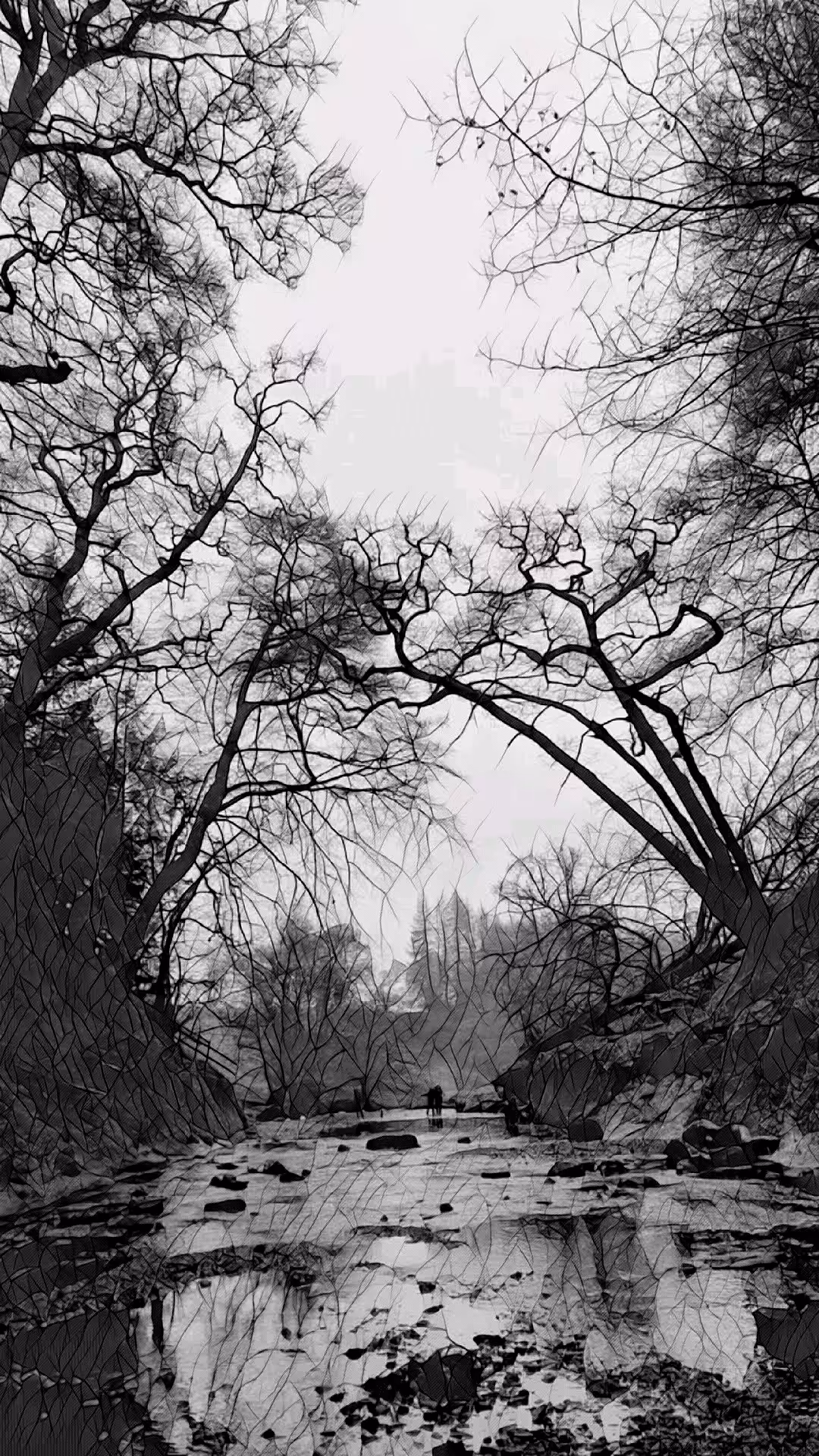 Beauty of nature 
