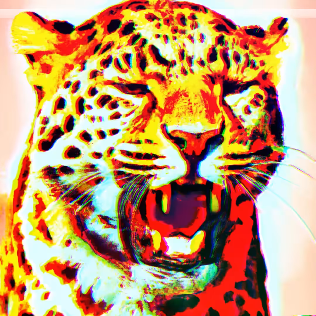 LEOPARD - SA#008