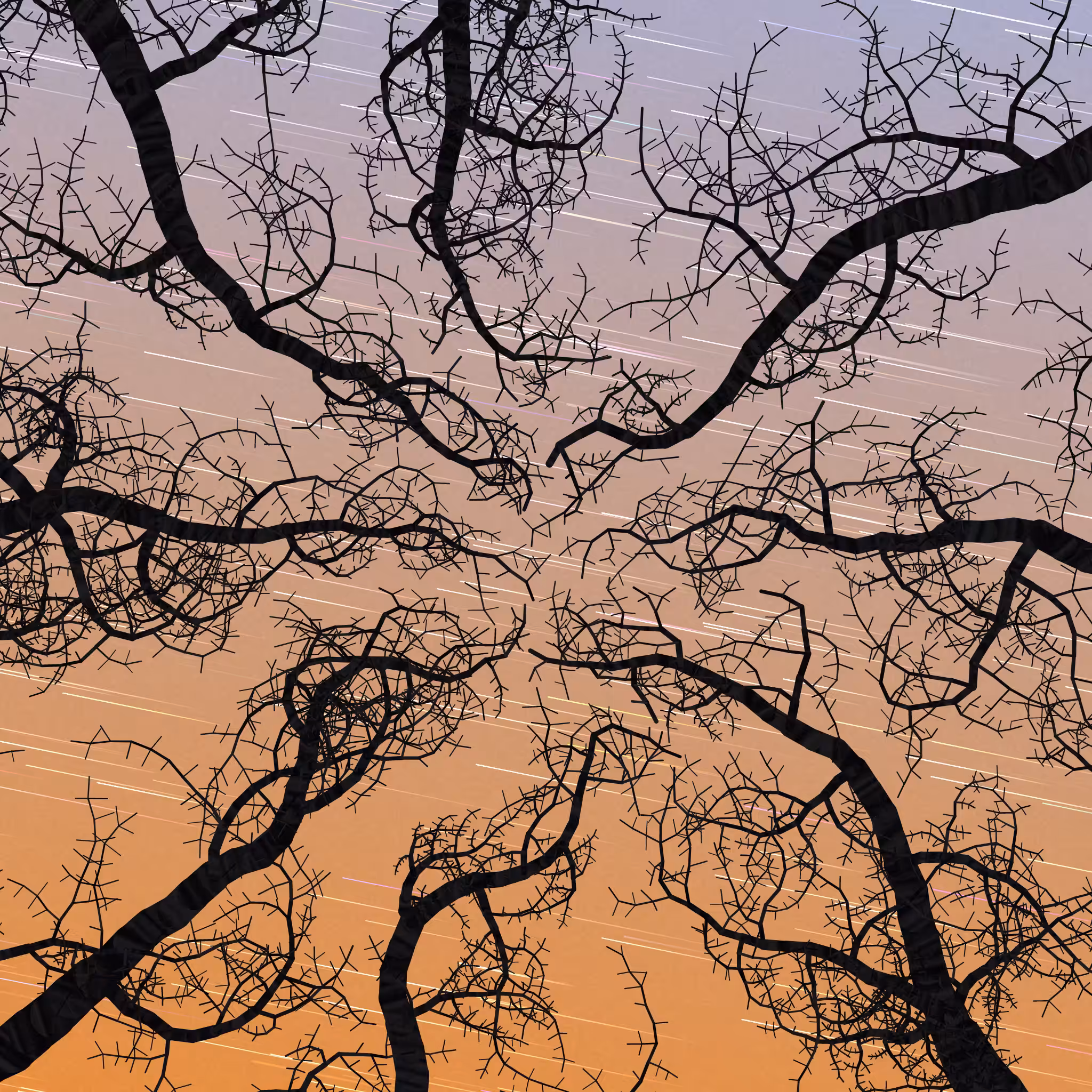 Tree Skyness #61