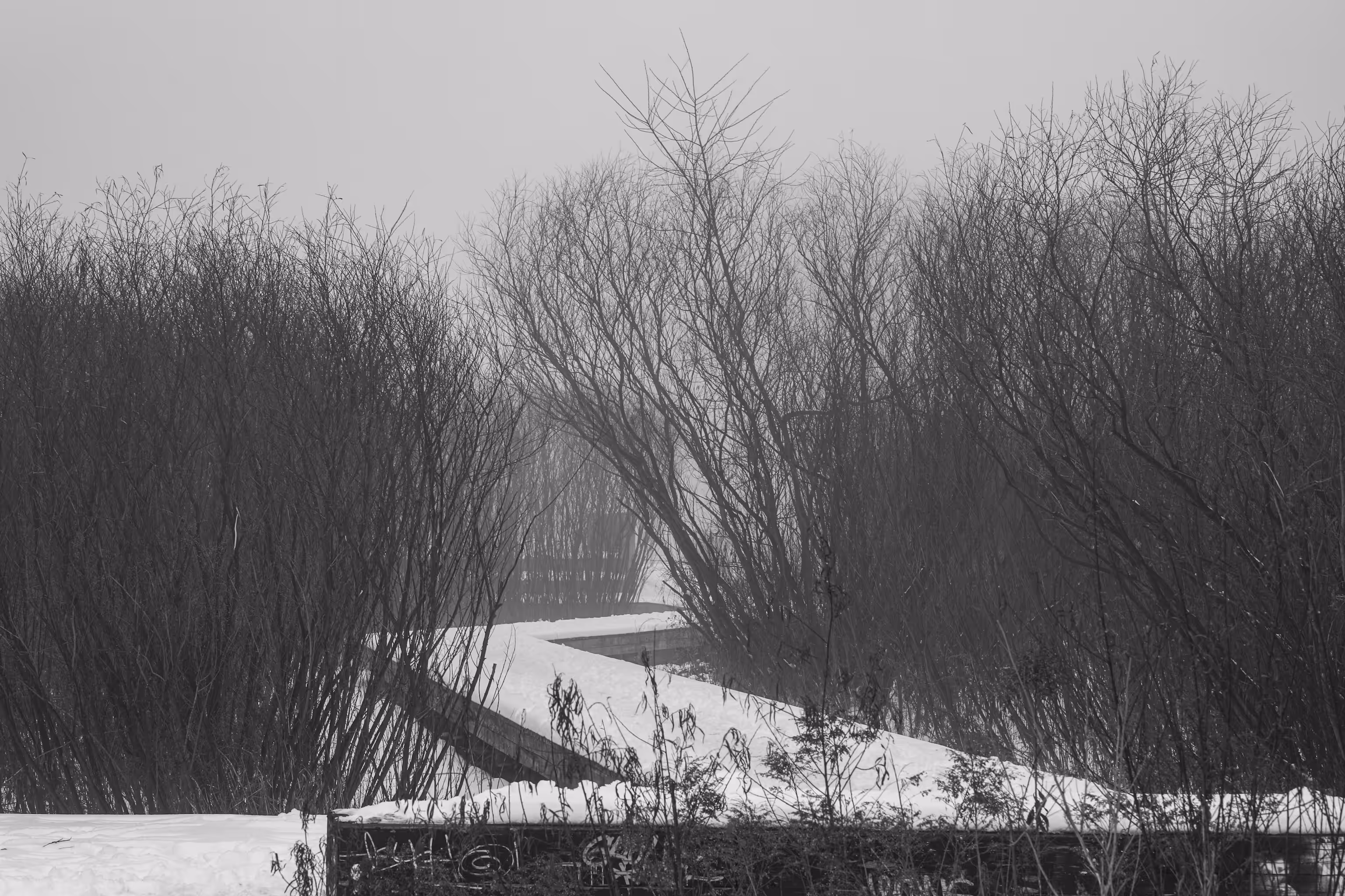 Spirit of Montreal / QC / Canada