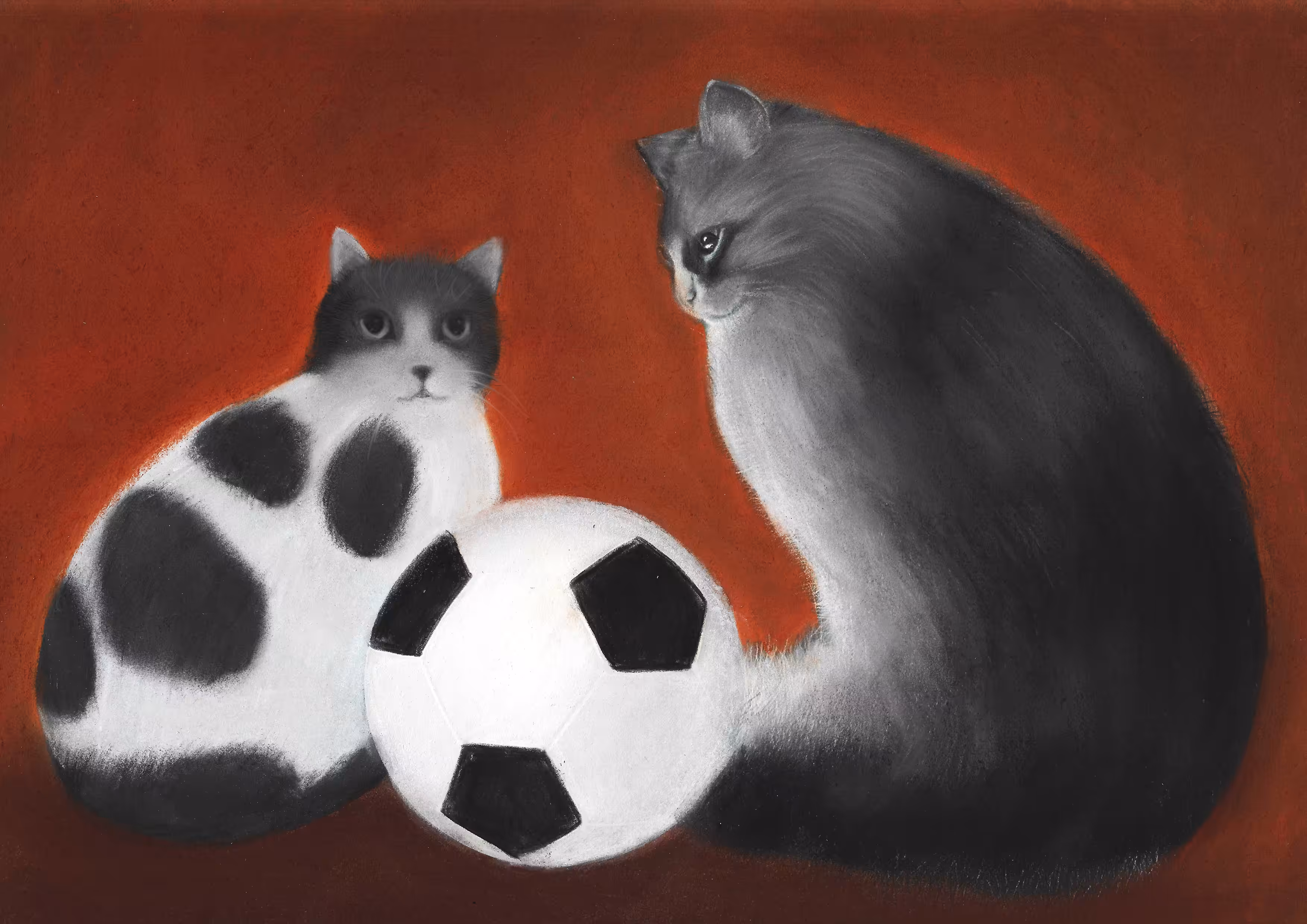 Football fan’s cats
