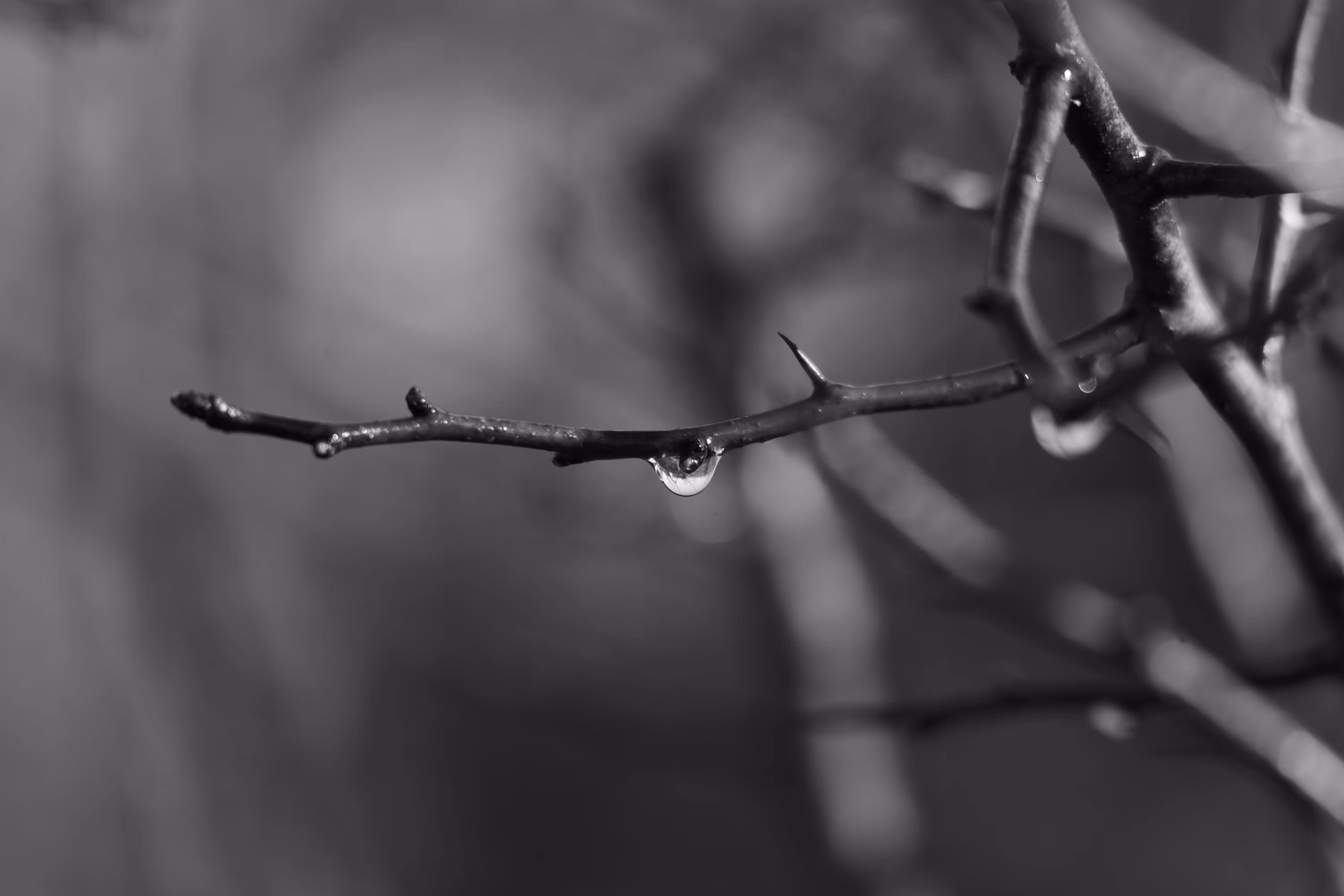 Drop of Water 