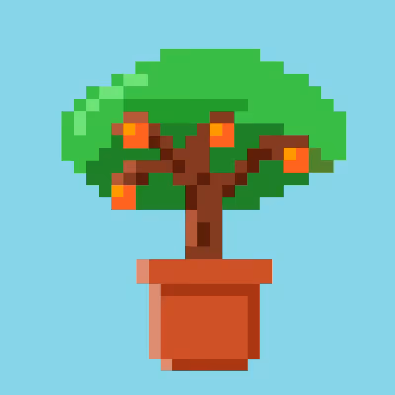 Tez Plants #4