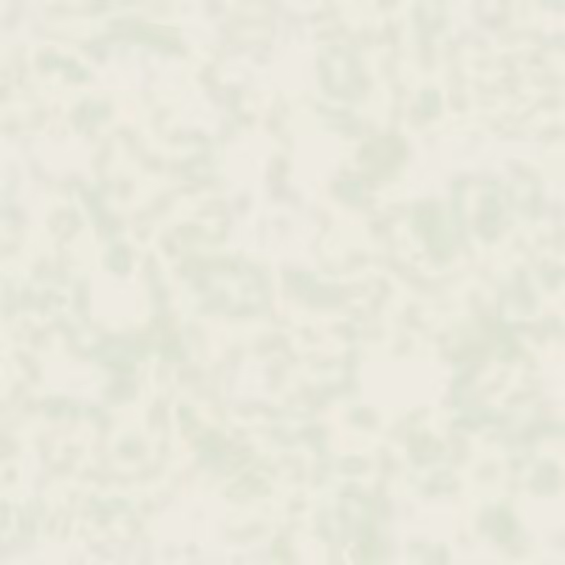 Petri 1500 v2 QHD  #354