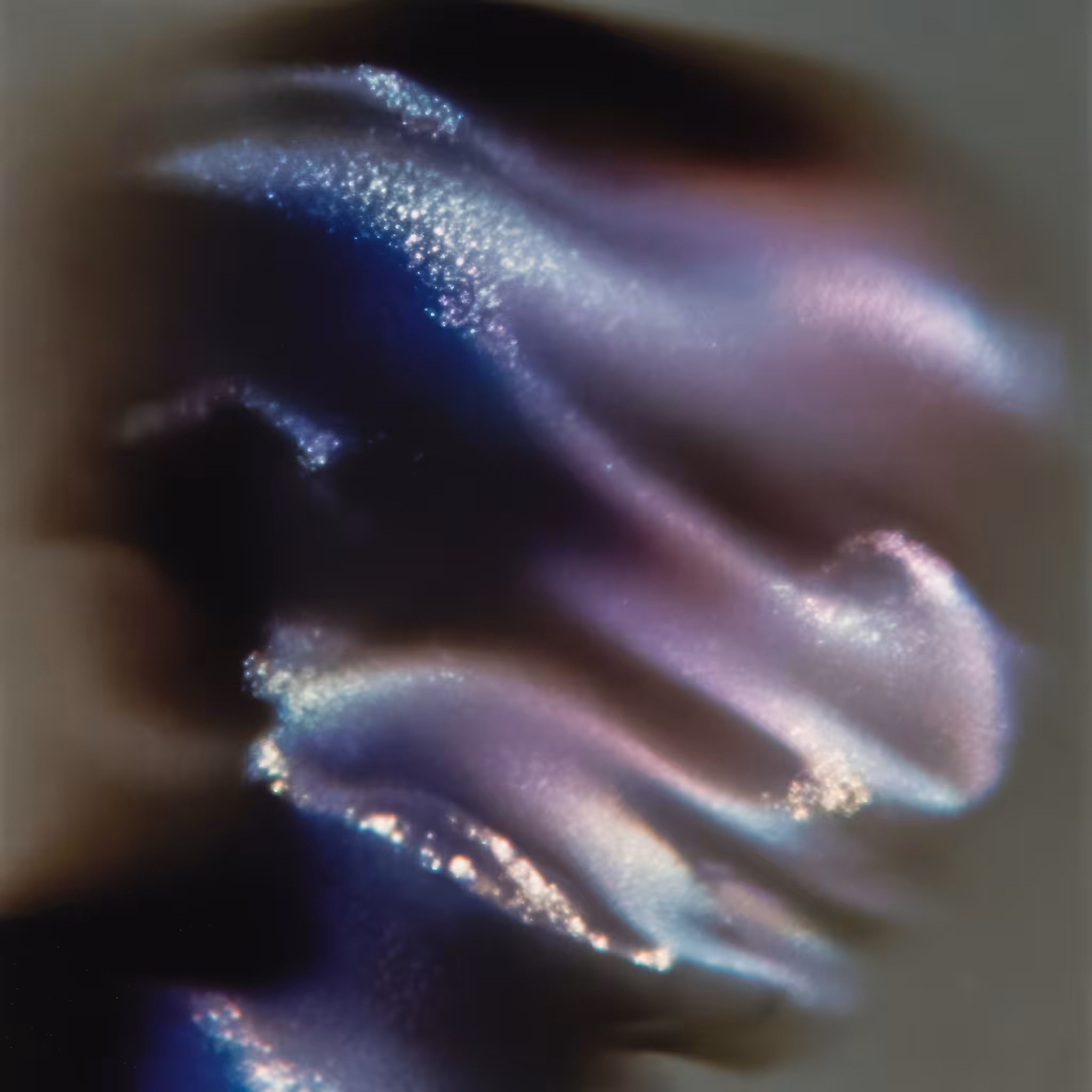 Compressed Luminescence