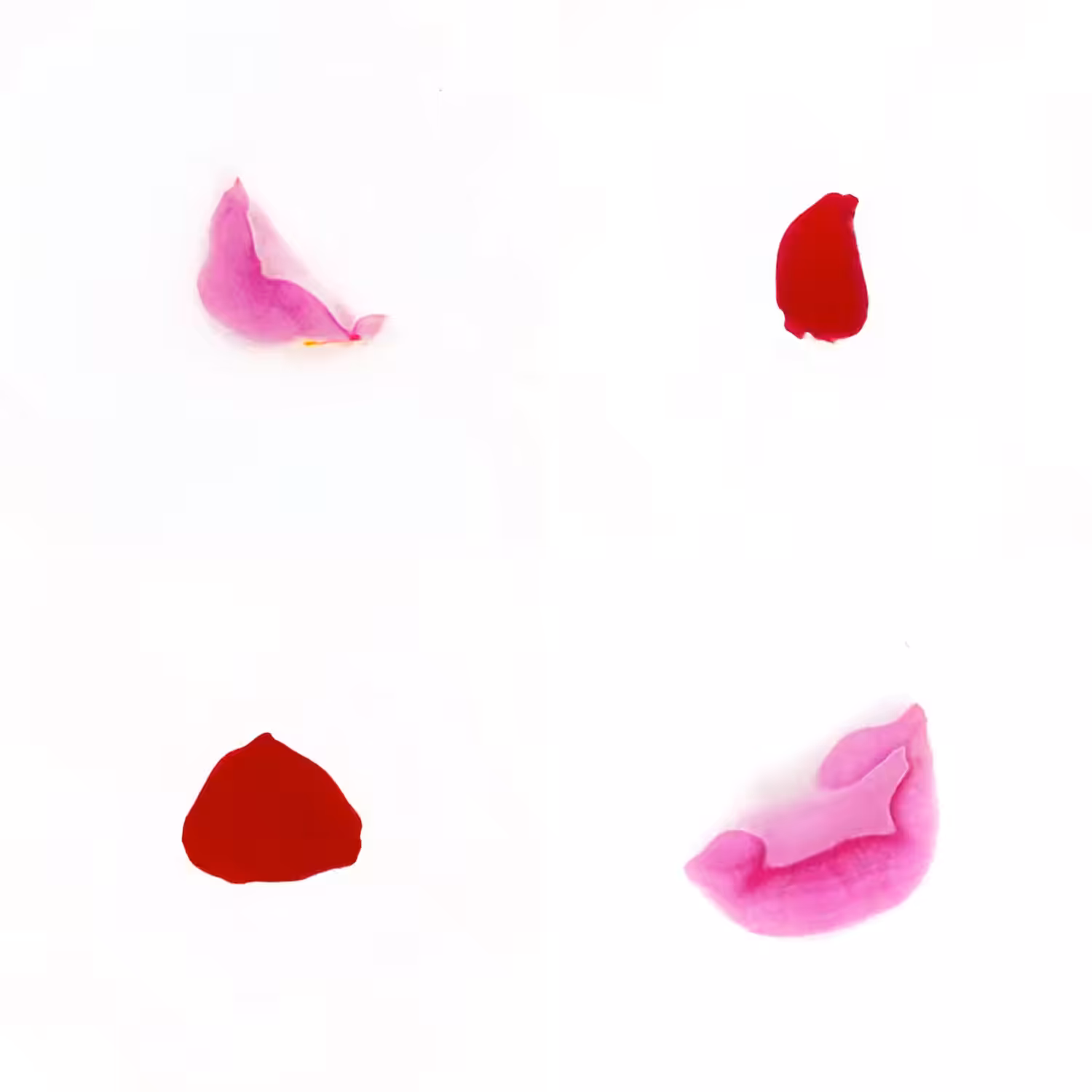 Infinite Petals 2x2#20238