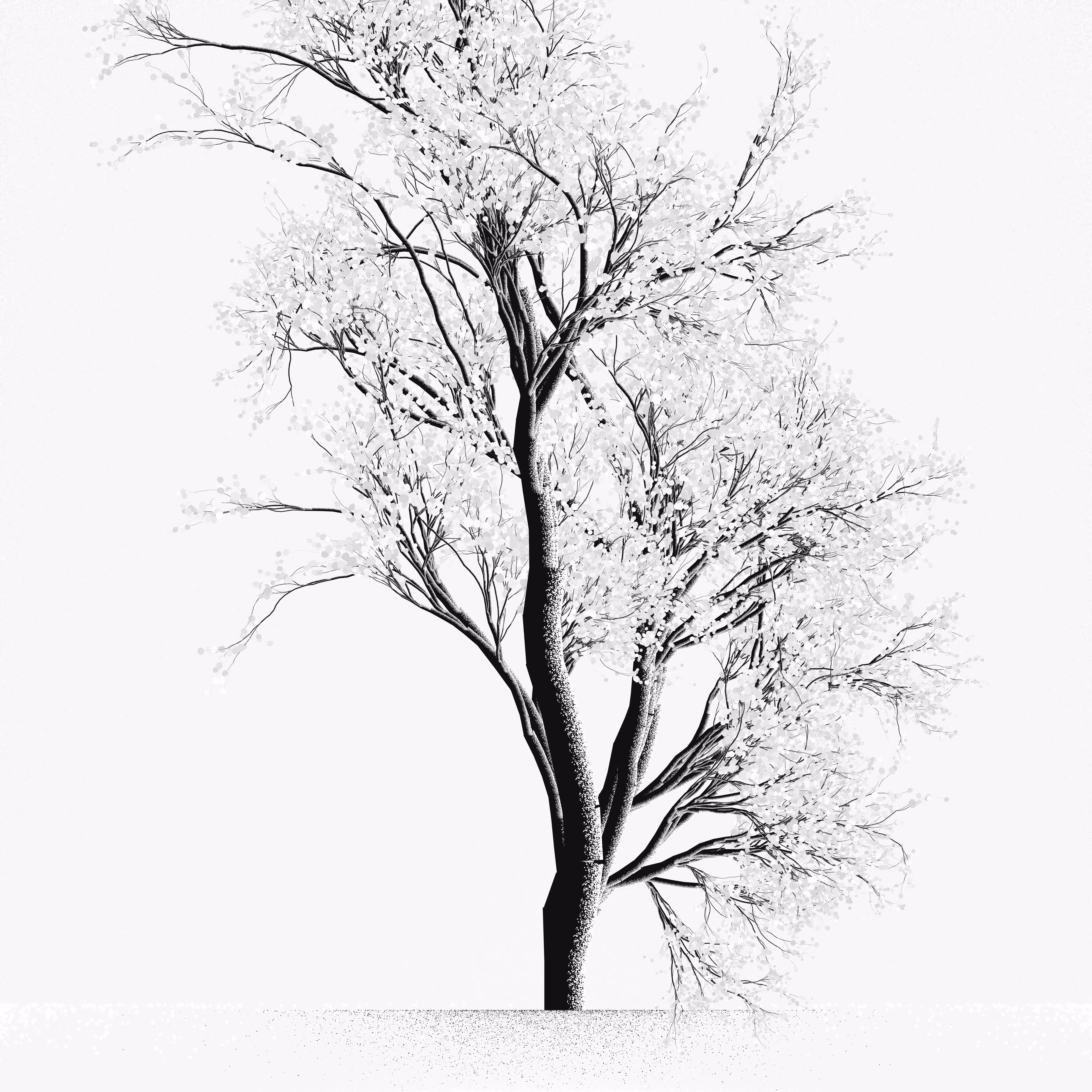 Snow Tree #5