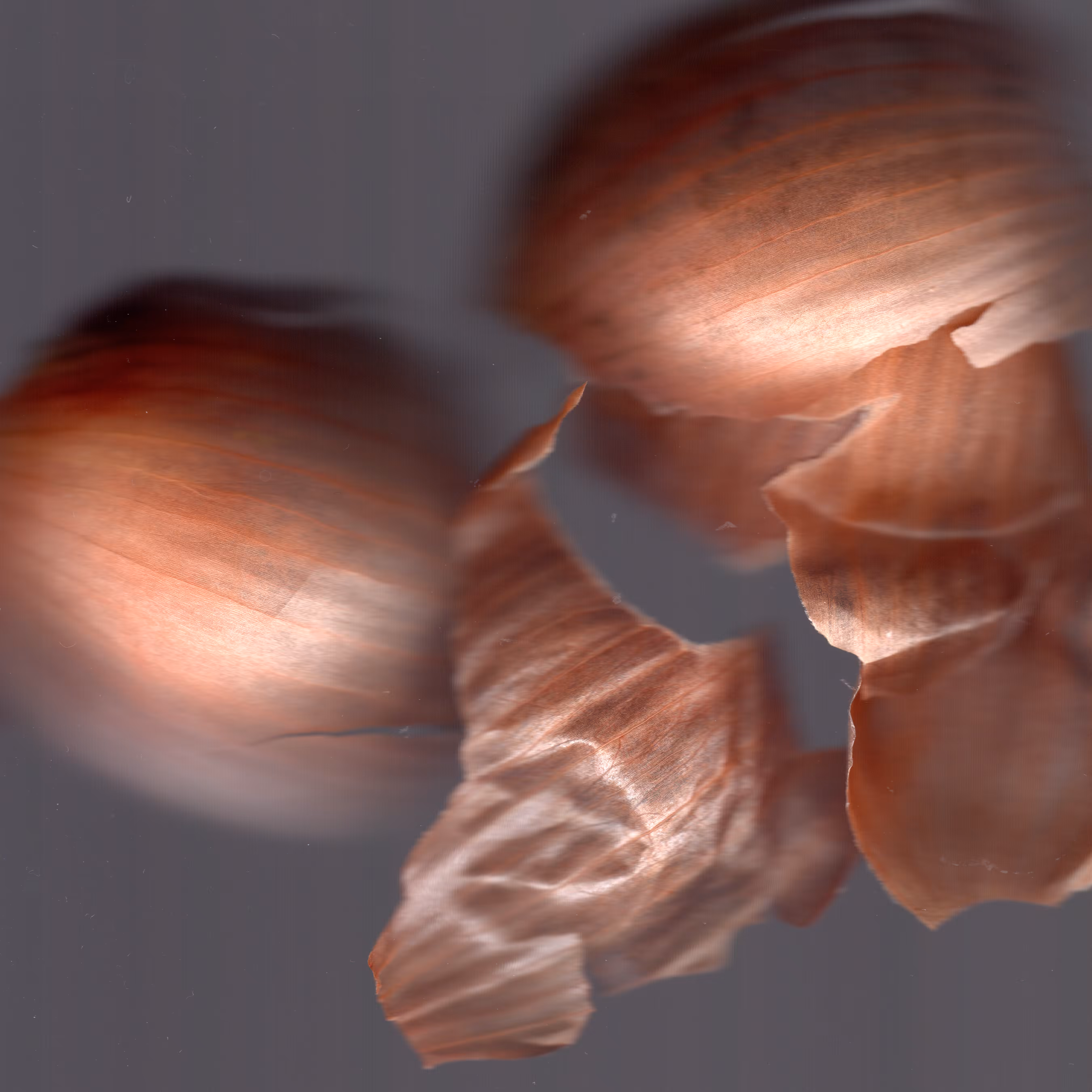 Onion Peels (2021)