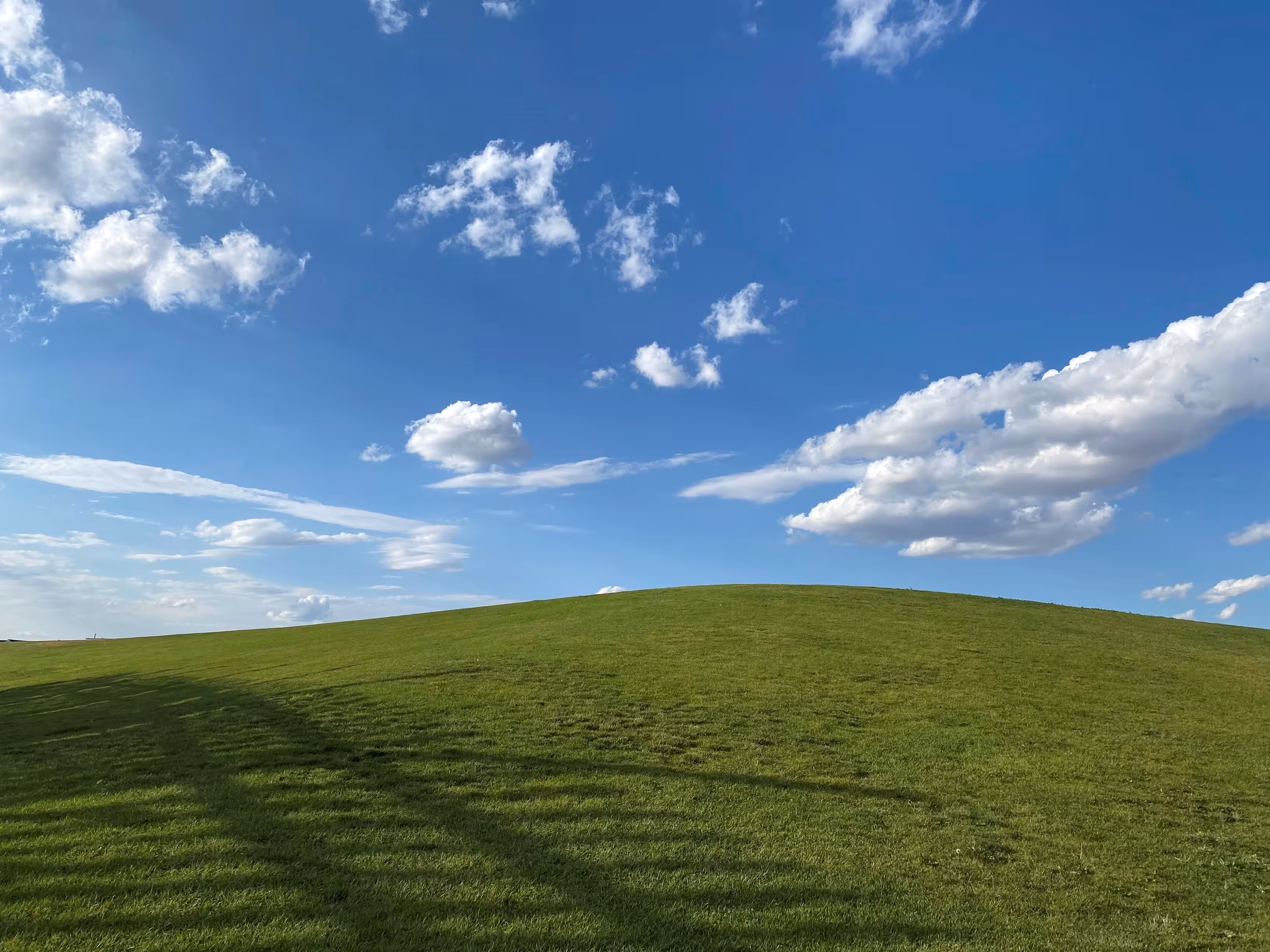 Windows