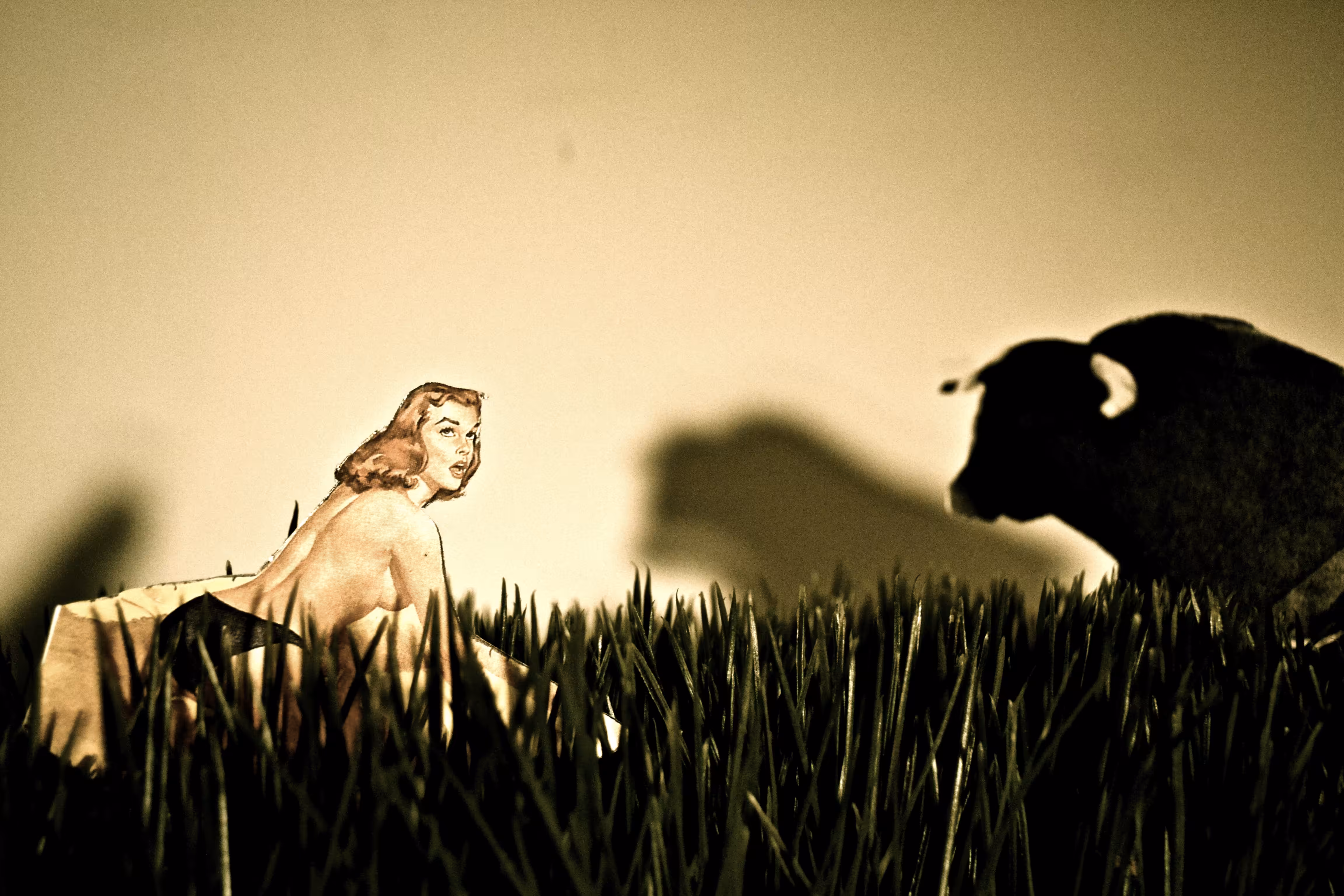 JANE AND THE BULL