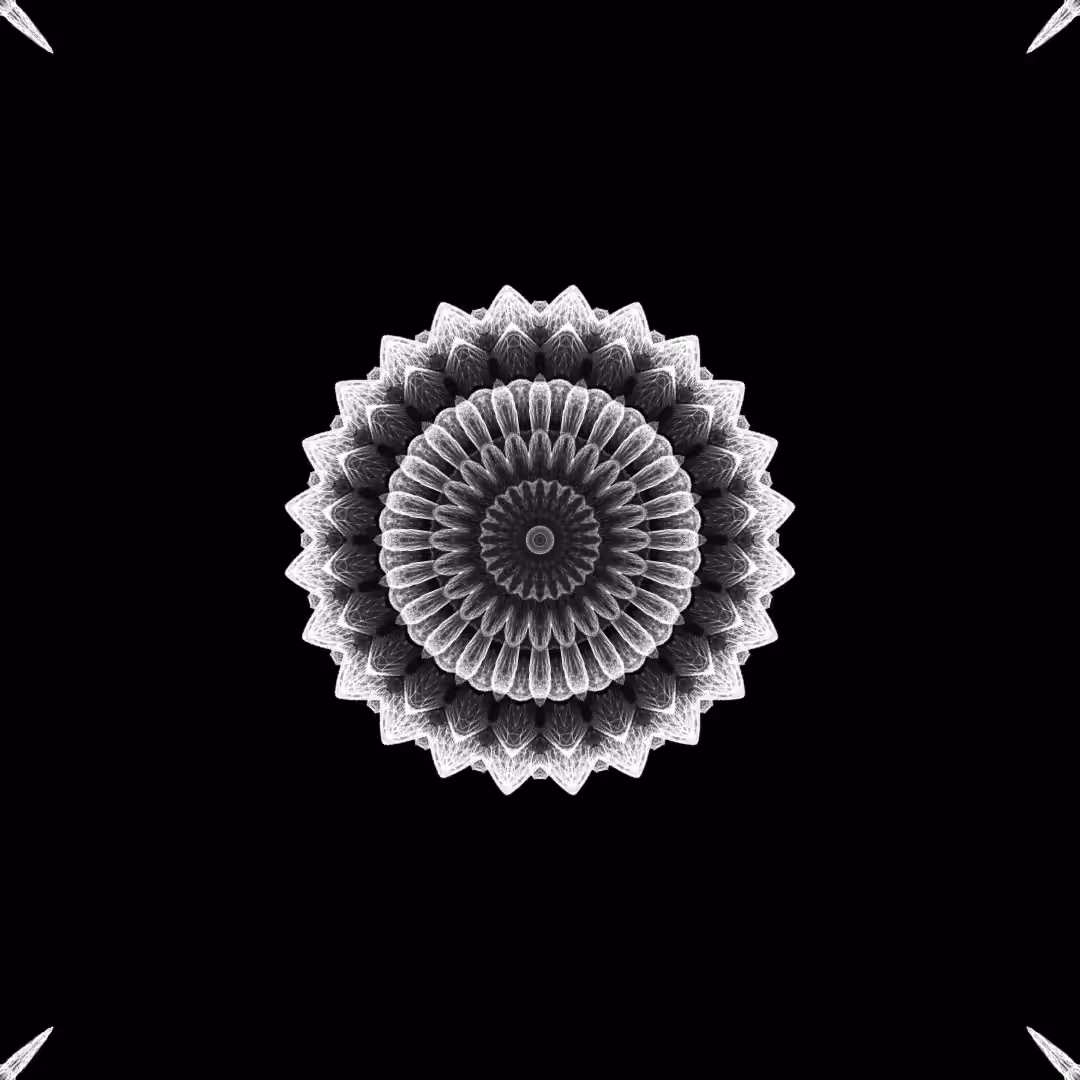 orbital warp 07