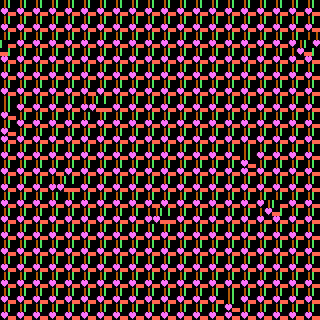 CGA Safari #29