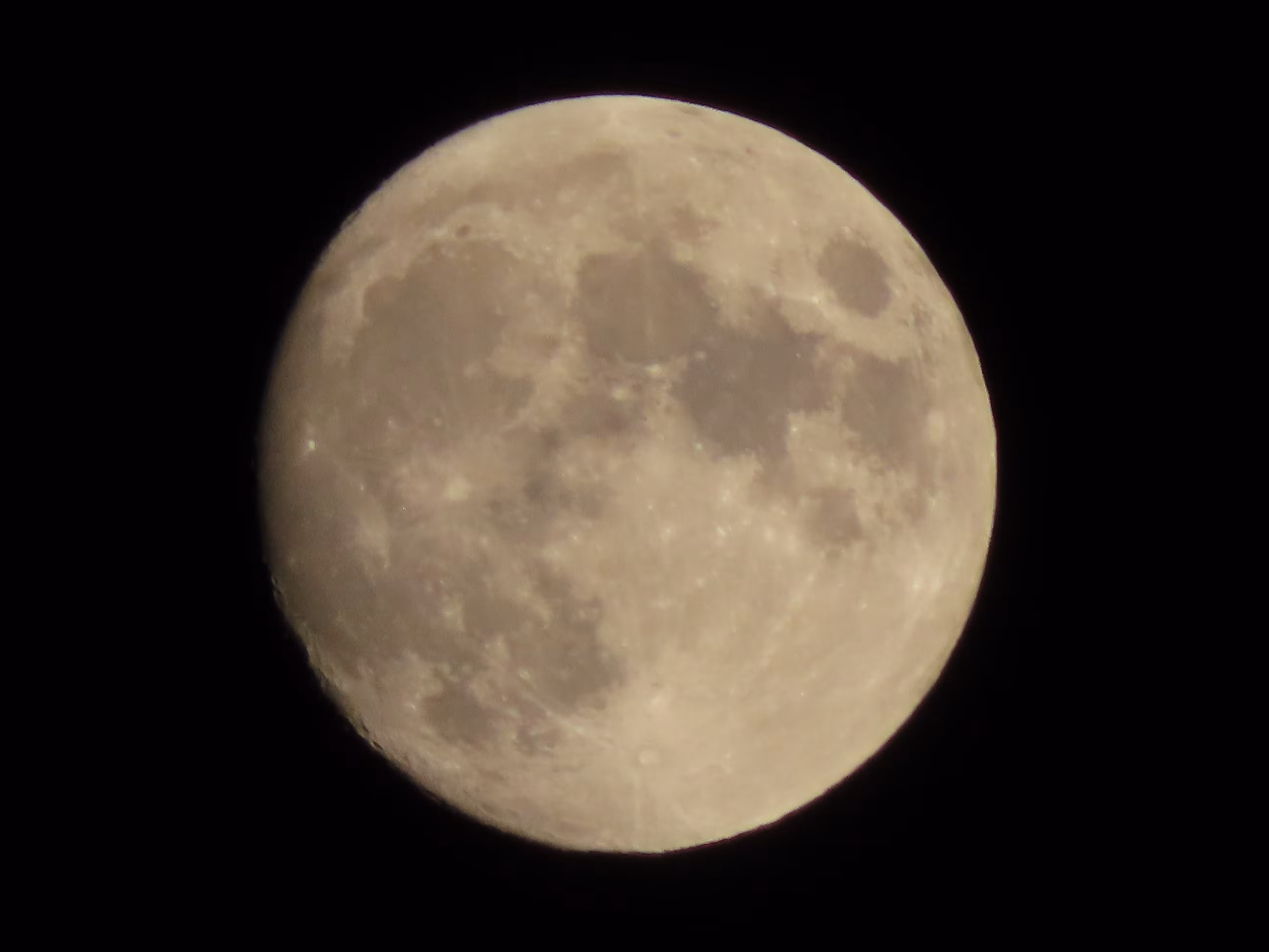 Too the Moon by 12/31/2023