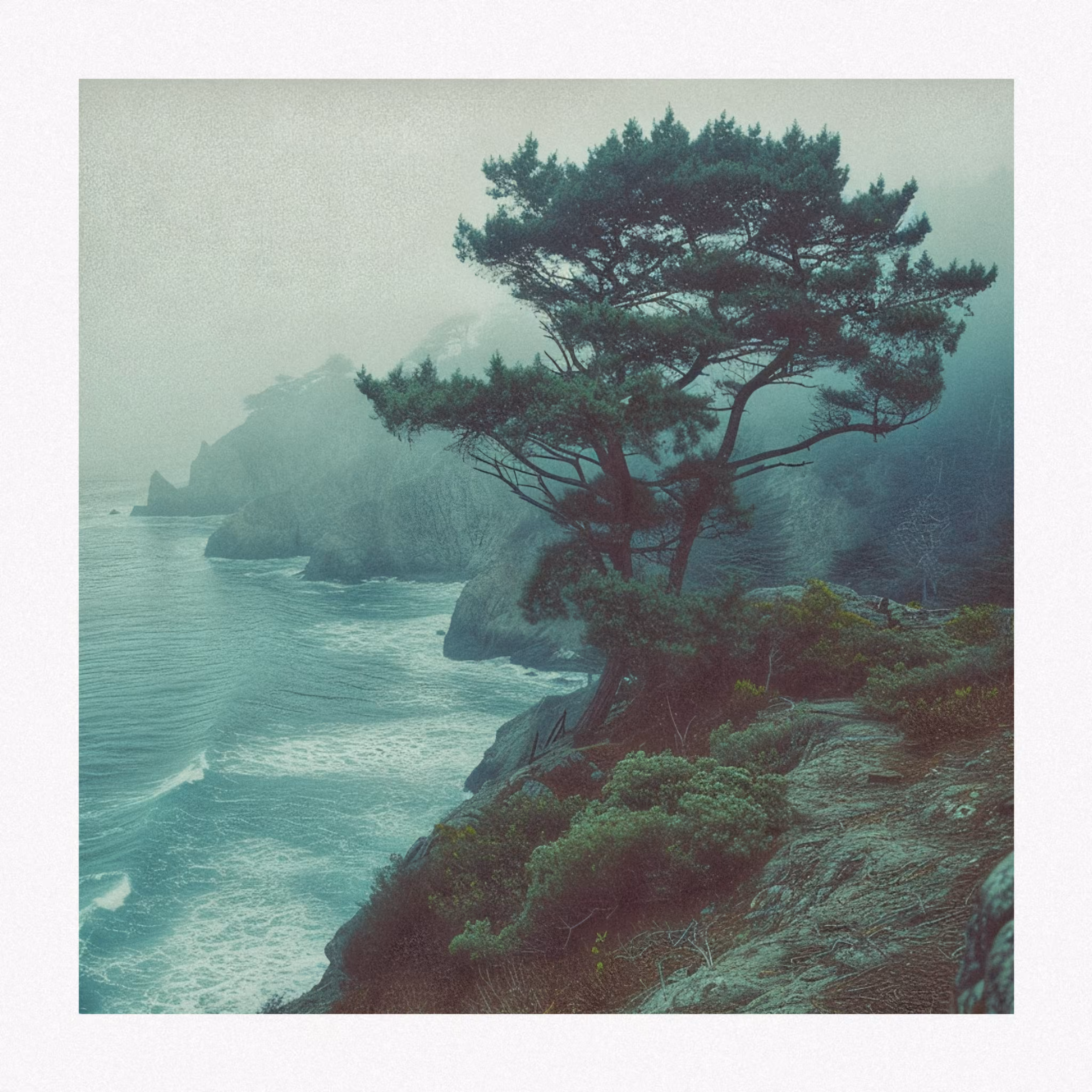 Coastal Memories