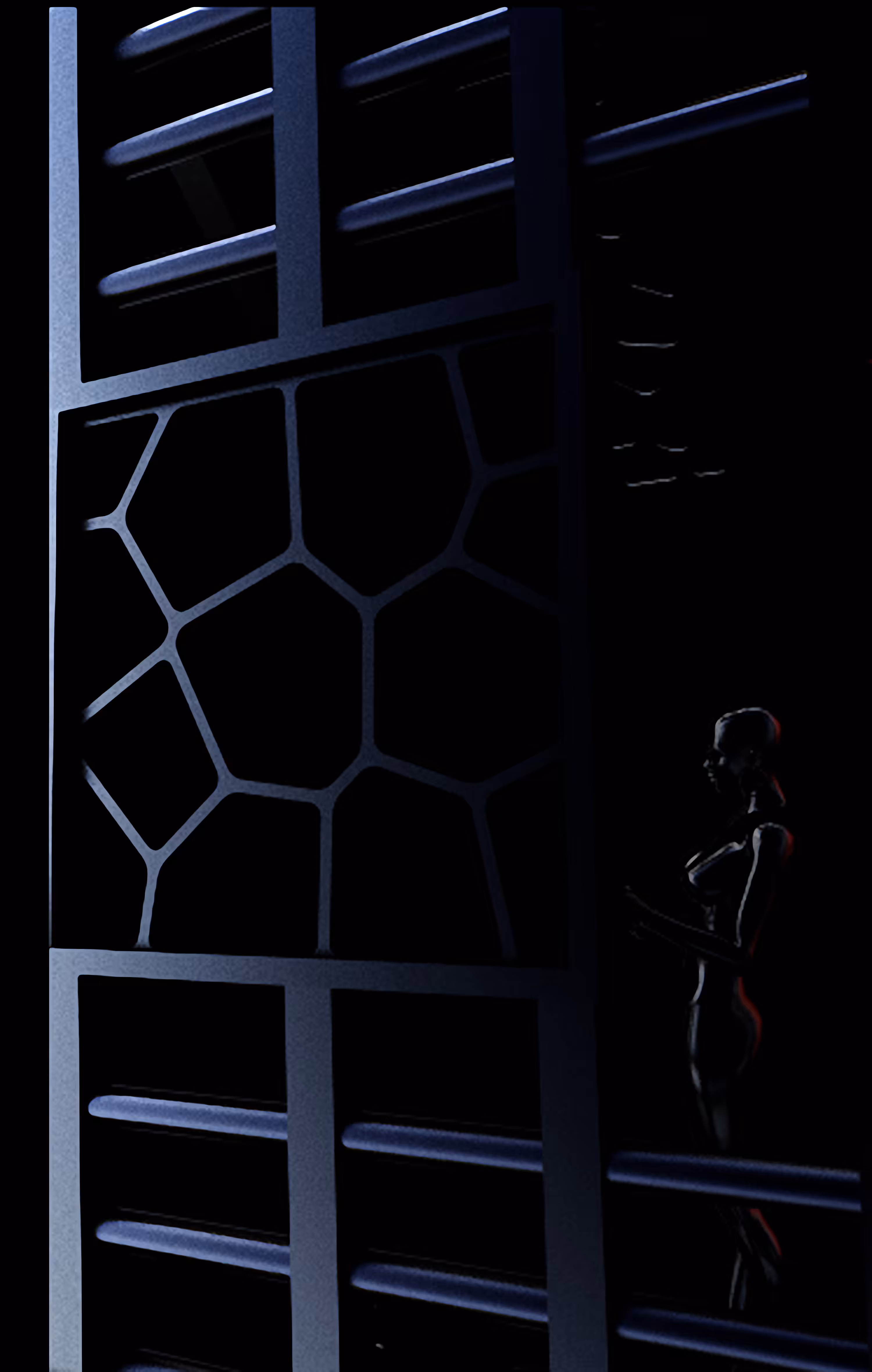 THE CELL VORONOY