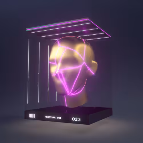 Fracture Boi: FRACTURE BOI - 013