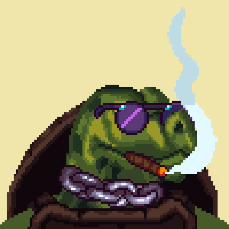 Turtles #30