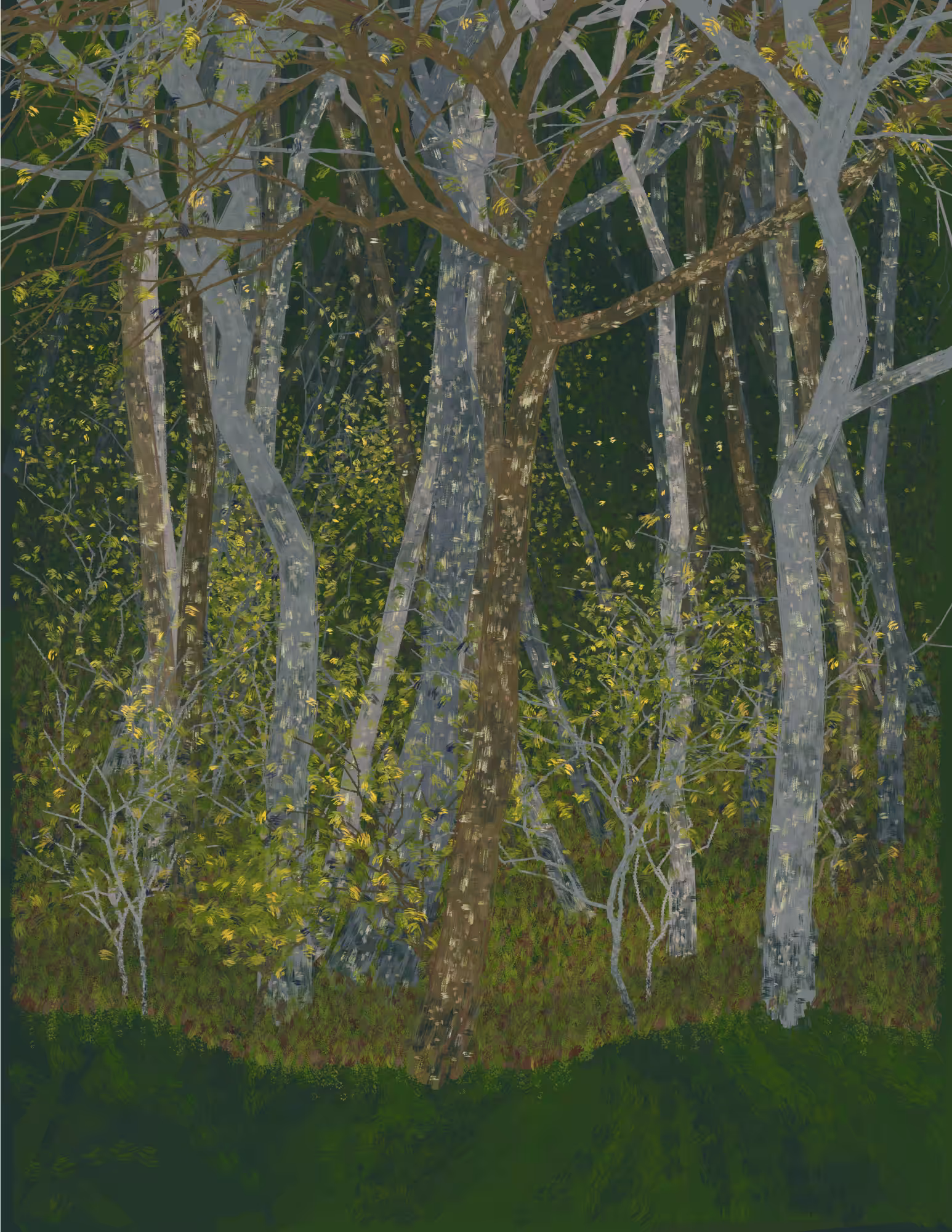 Deep Forest #206