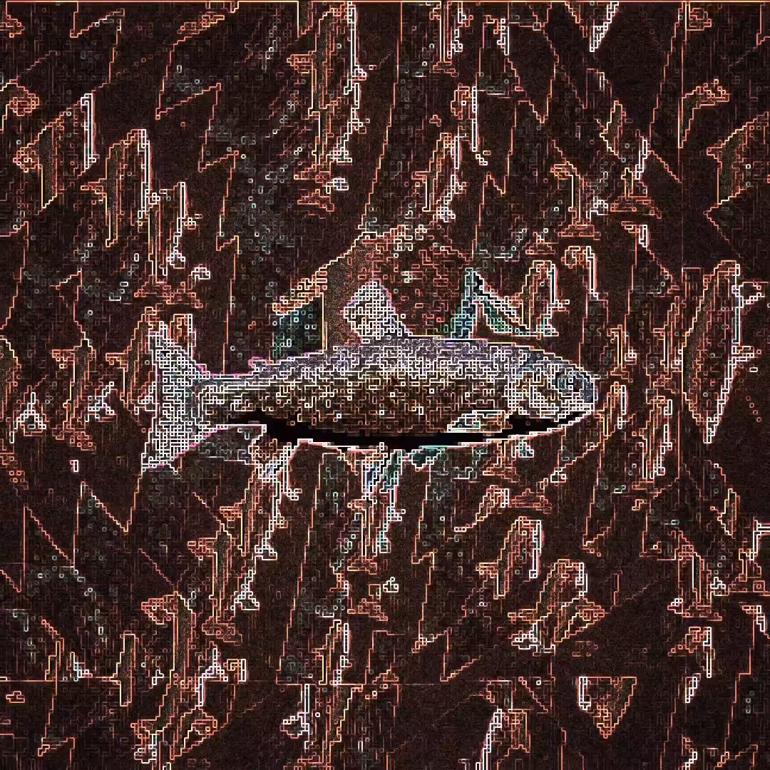 filterfish#1