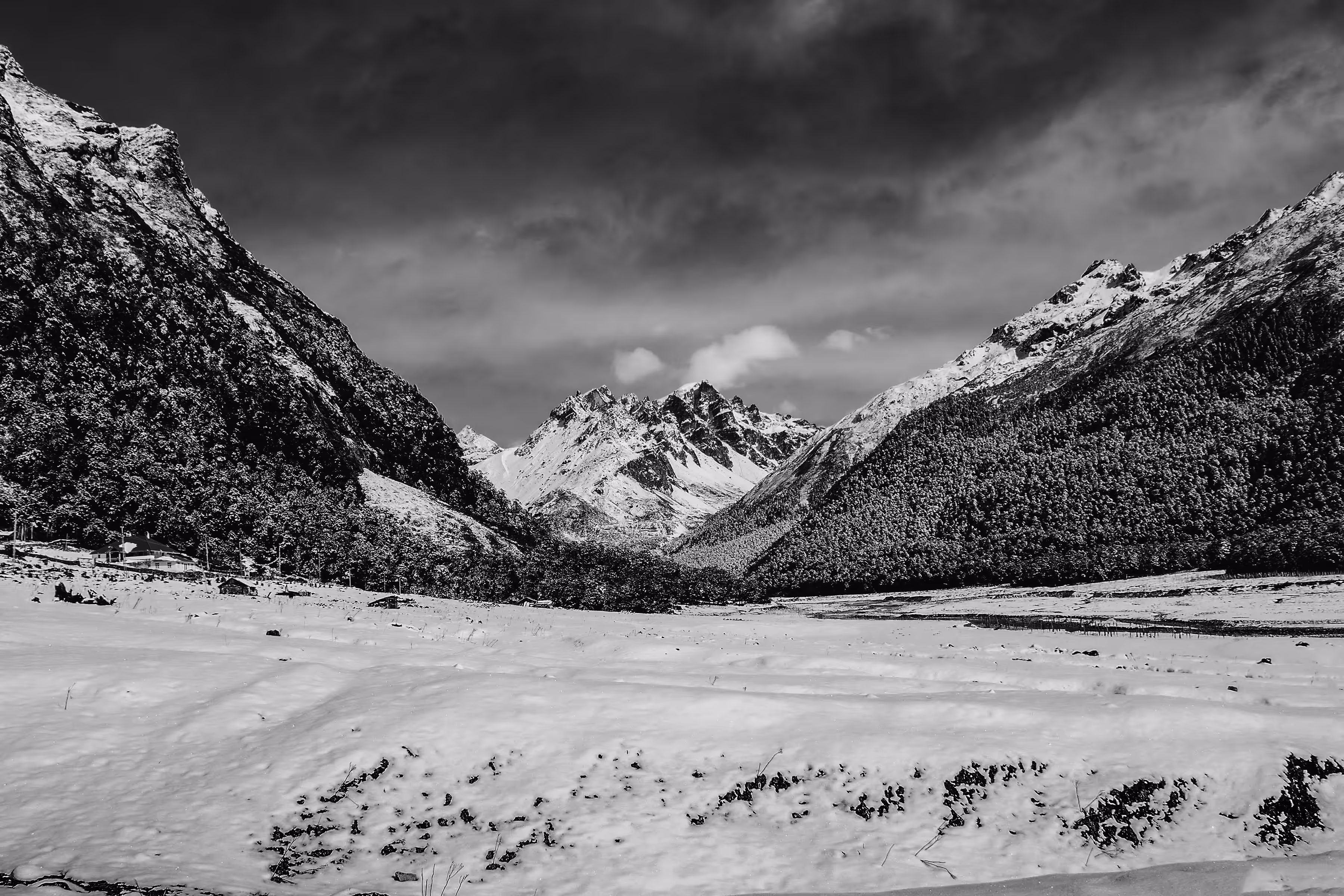 The Silk Route #4