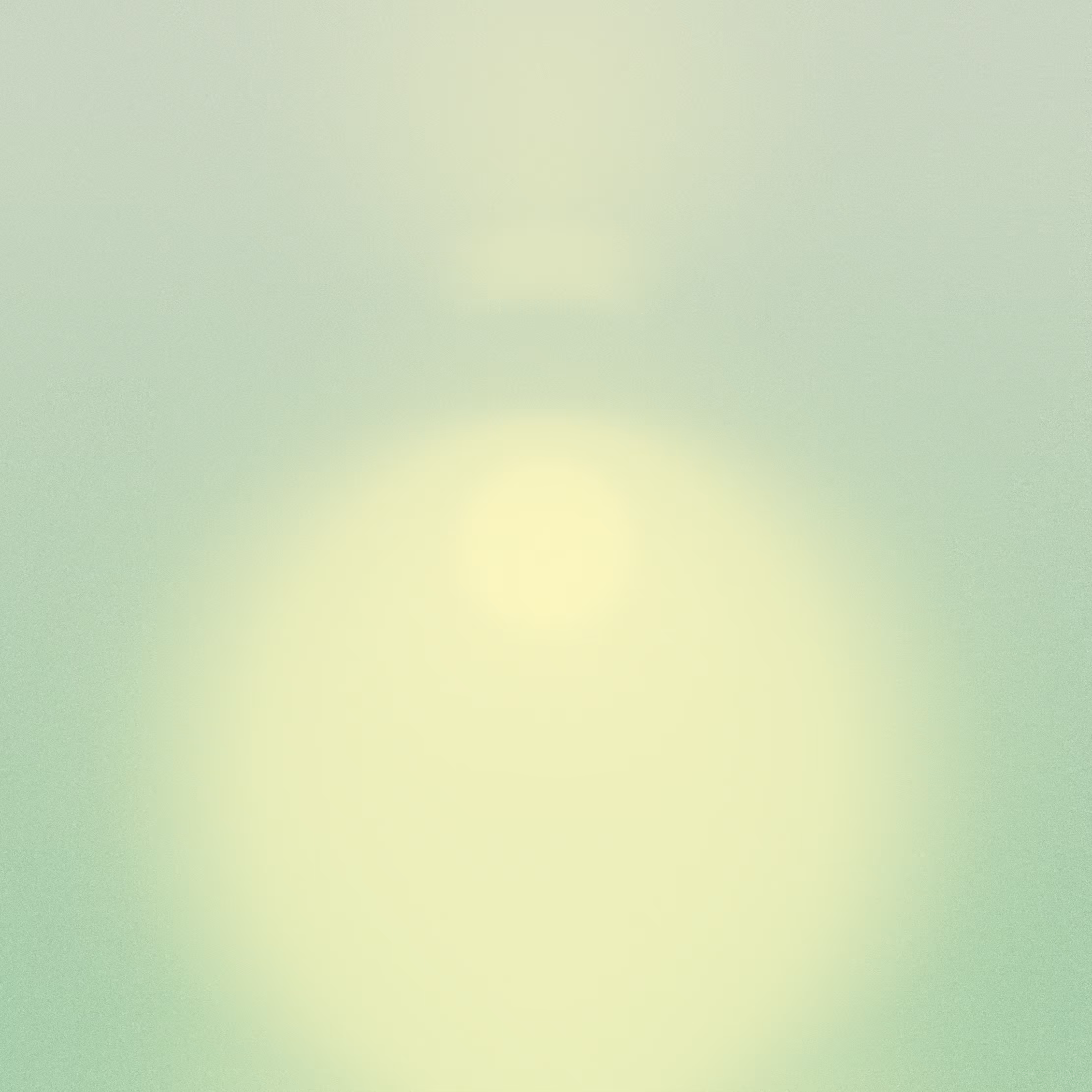 with the light 30