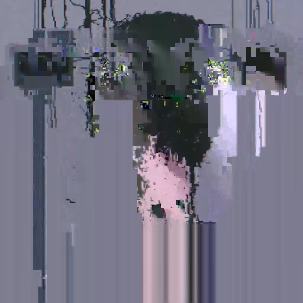 cant remember
