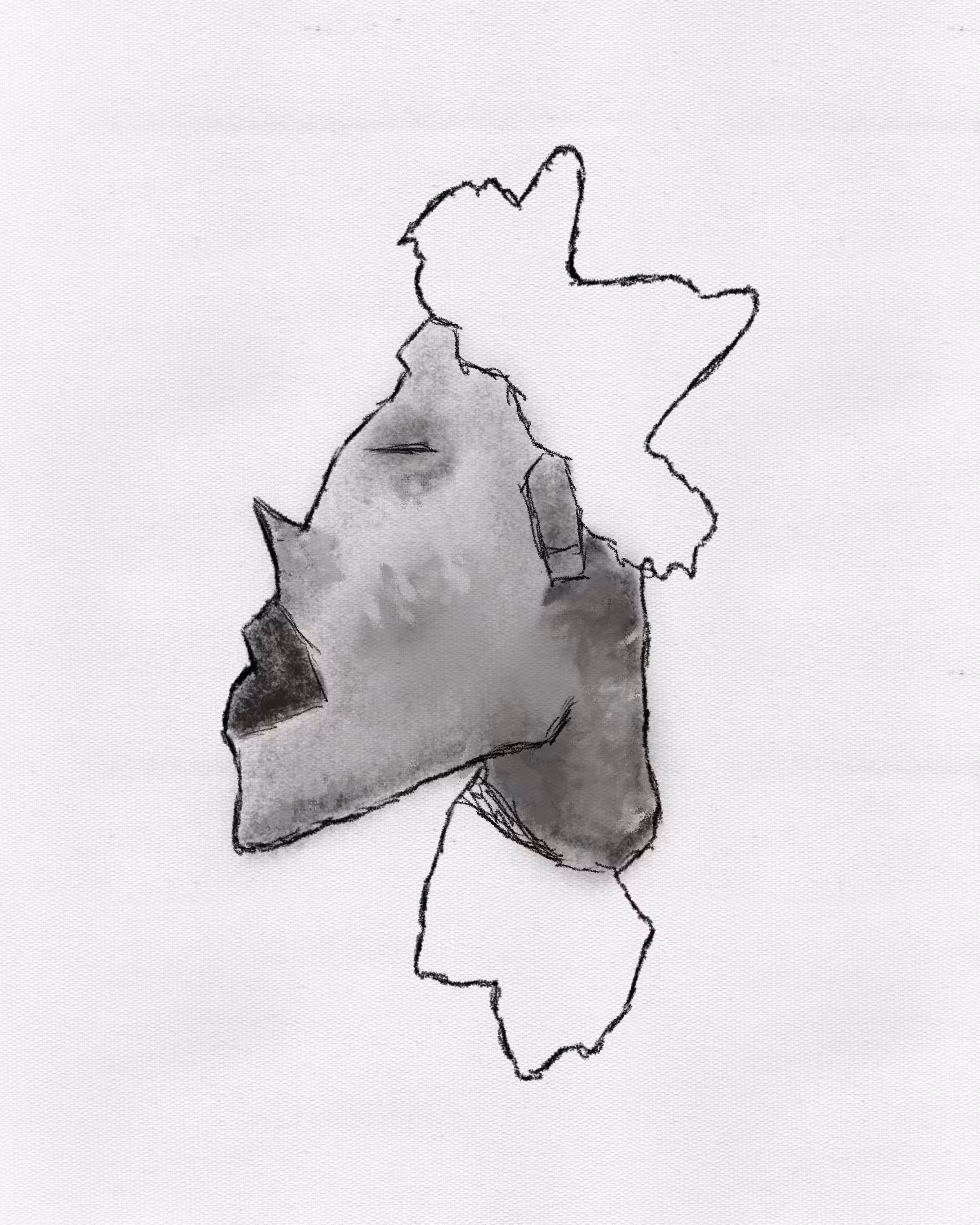 CHARCOAL TEST