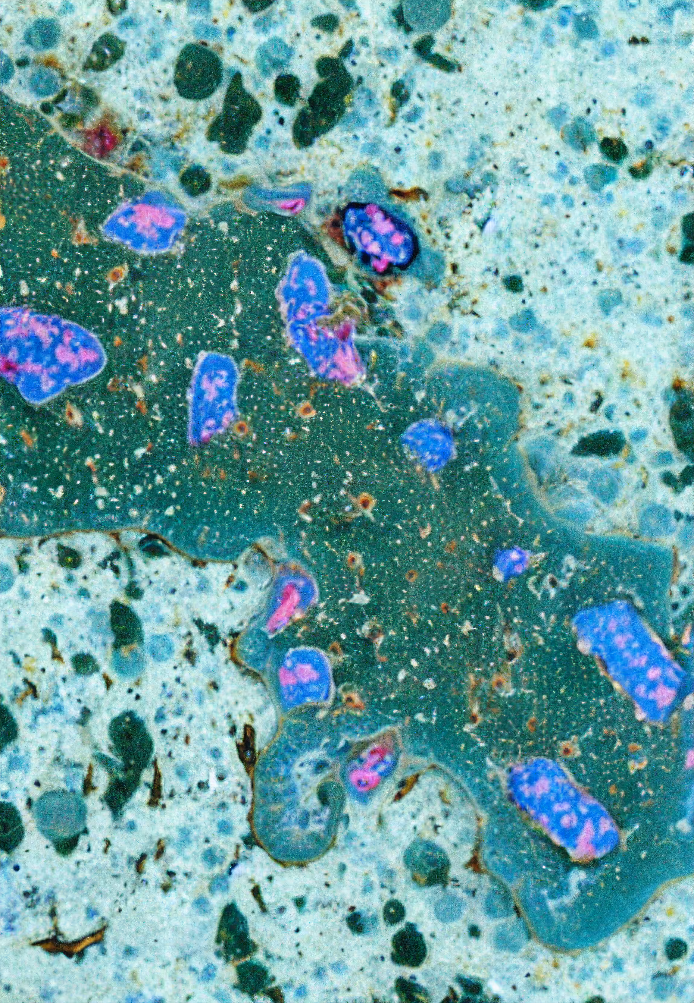 In Vivo, In Vitro, In Silico: Histologia In Silico #125
