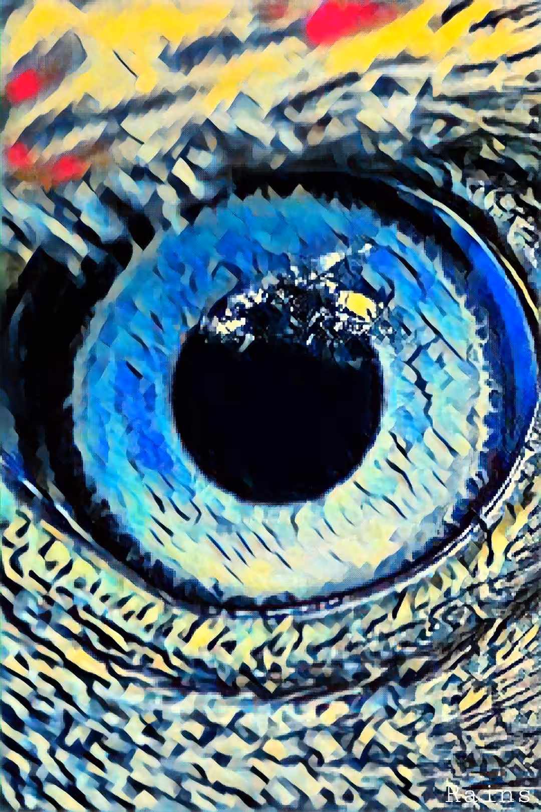 Night Creature