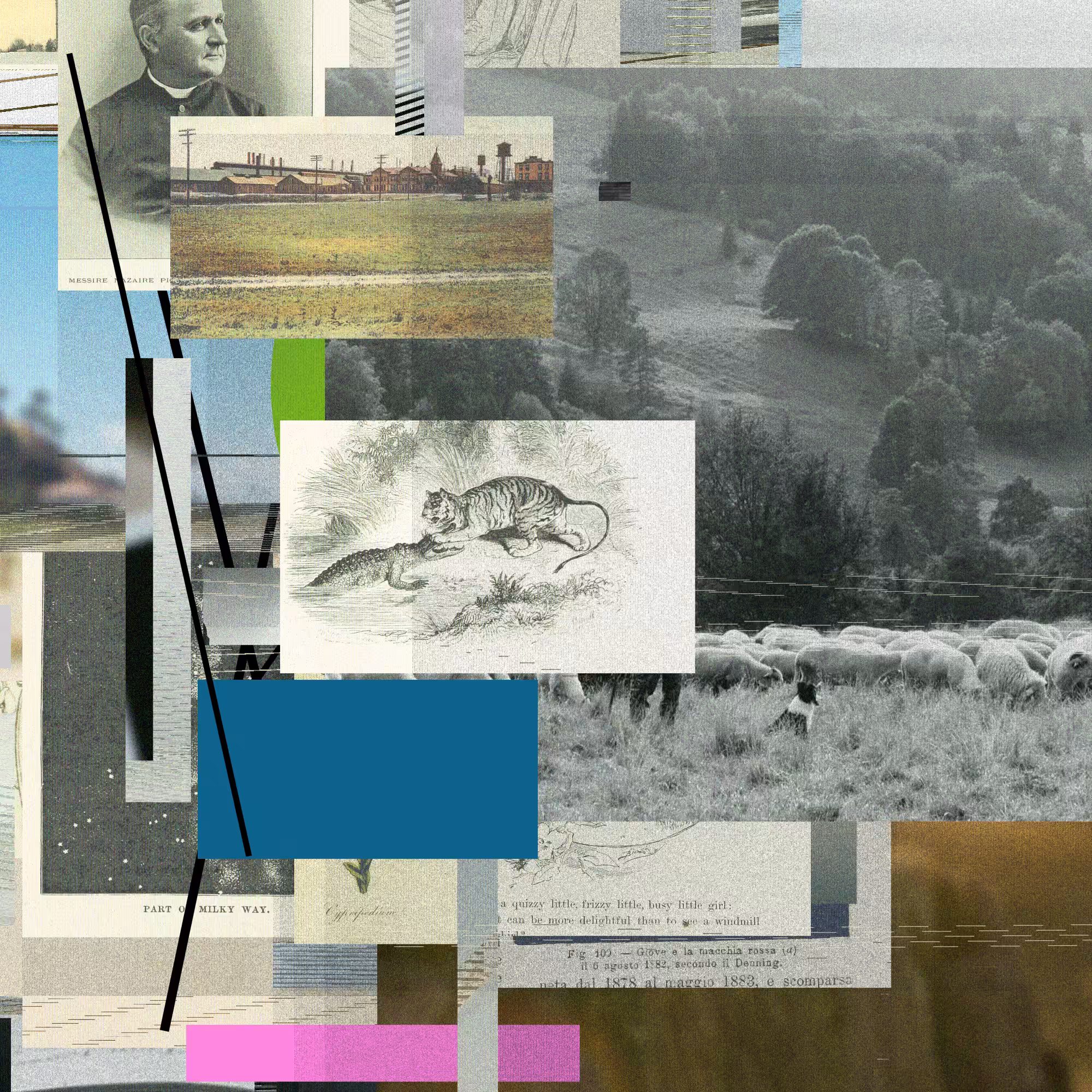 Unconscious Collages #217