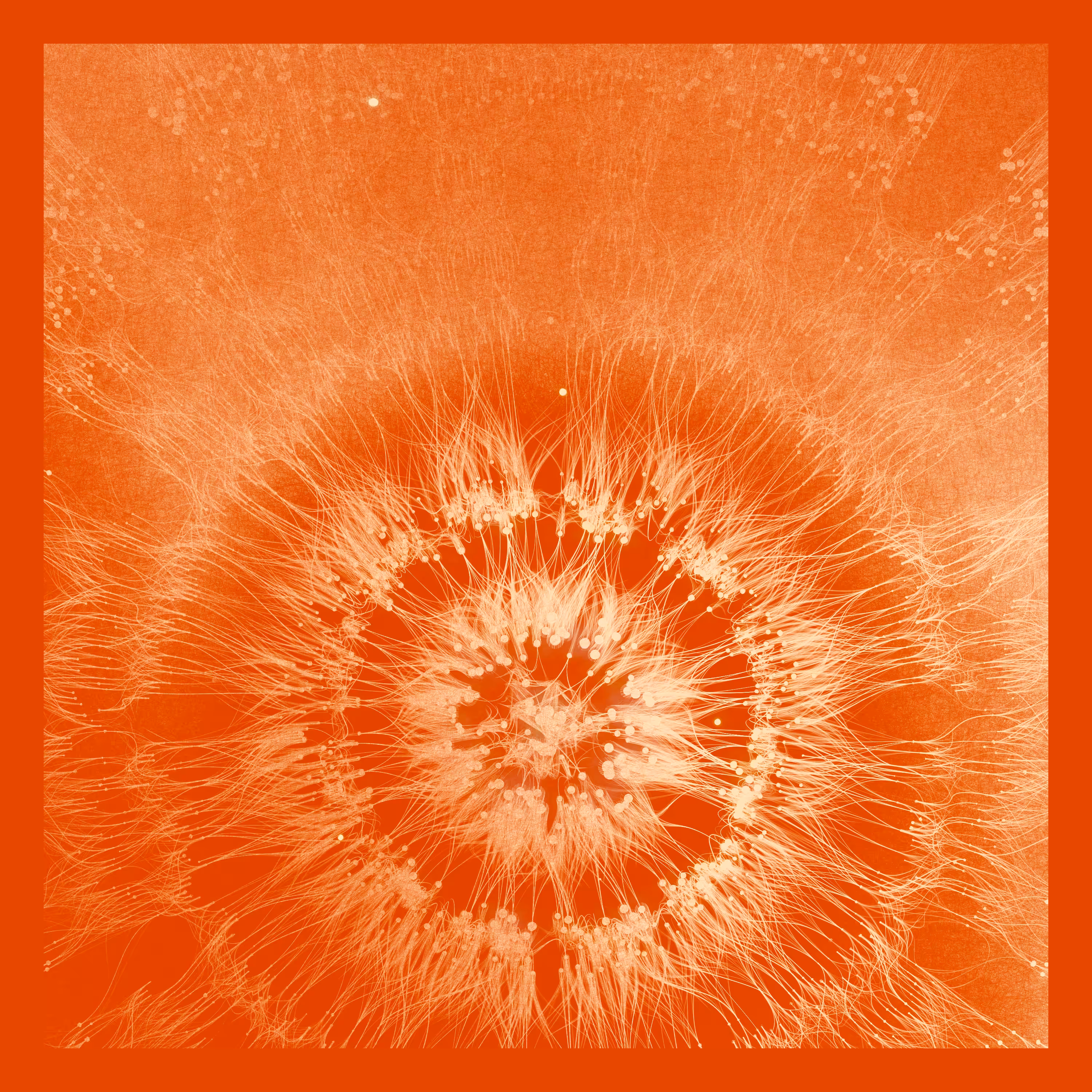 Effluence #179