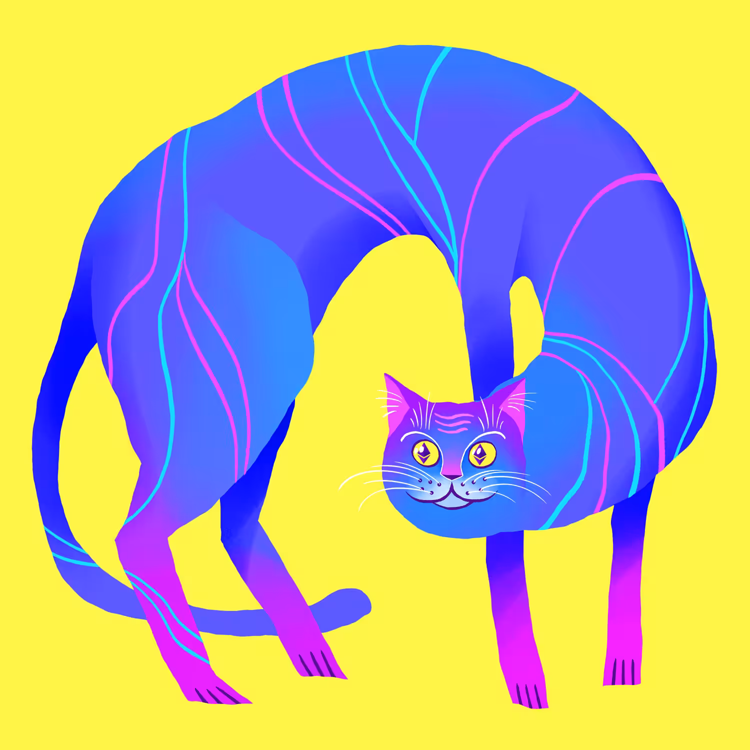 Crypto Cat