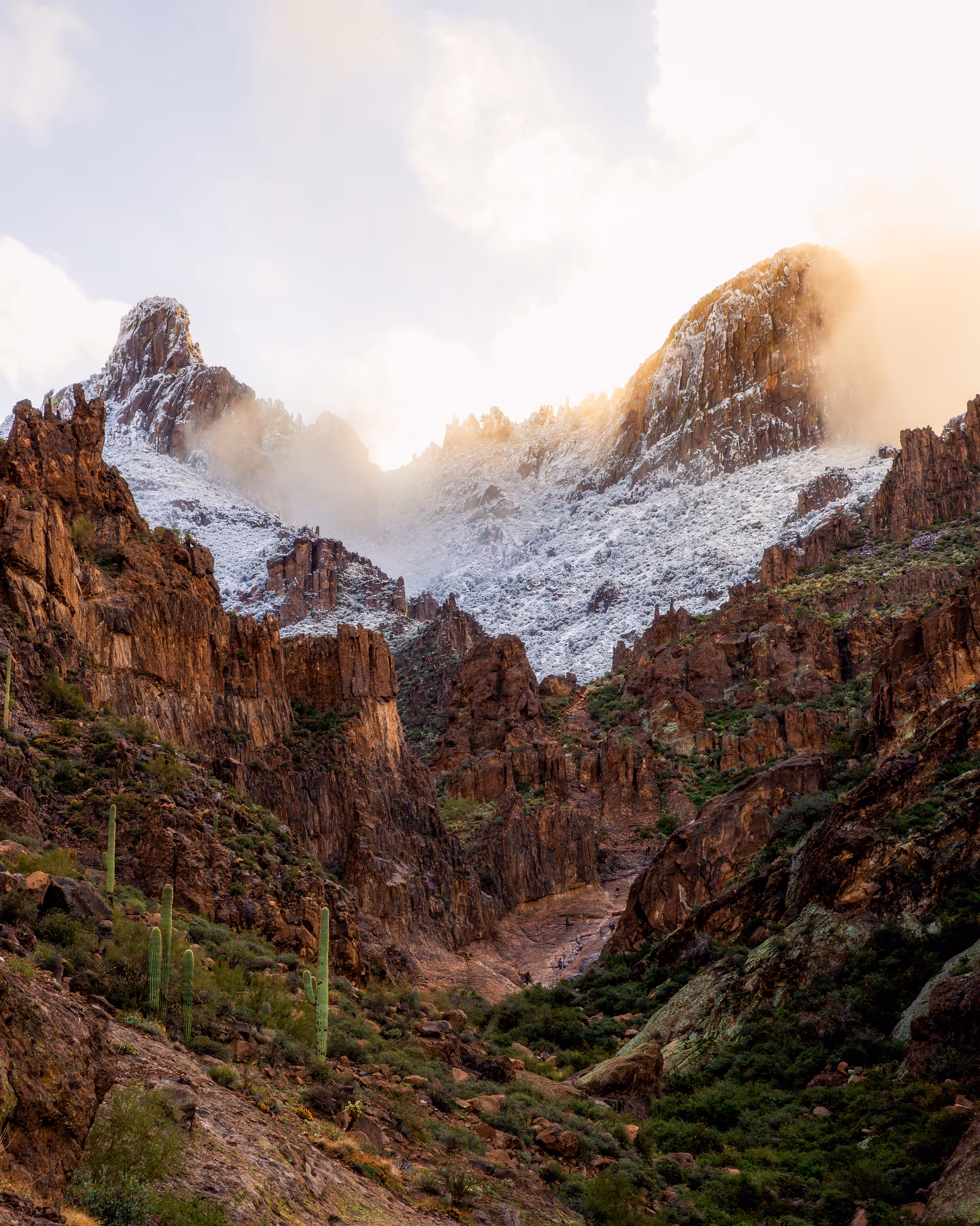 Sonoran Snow #6