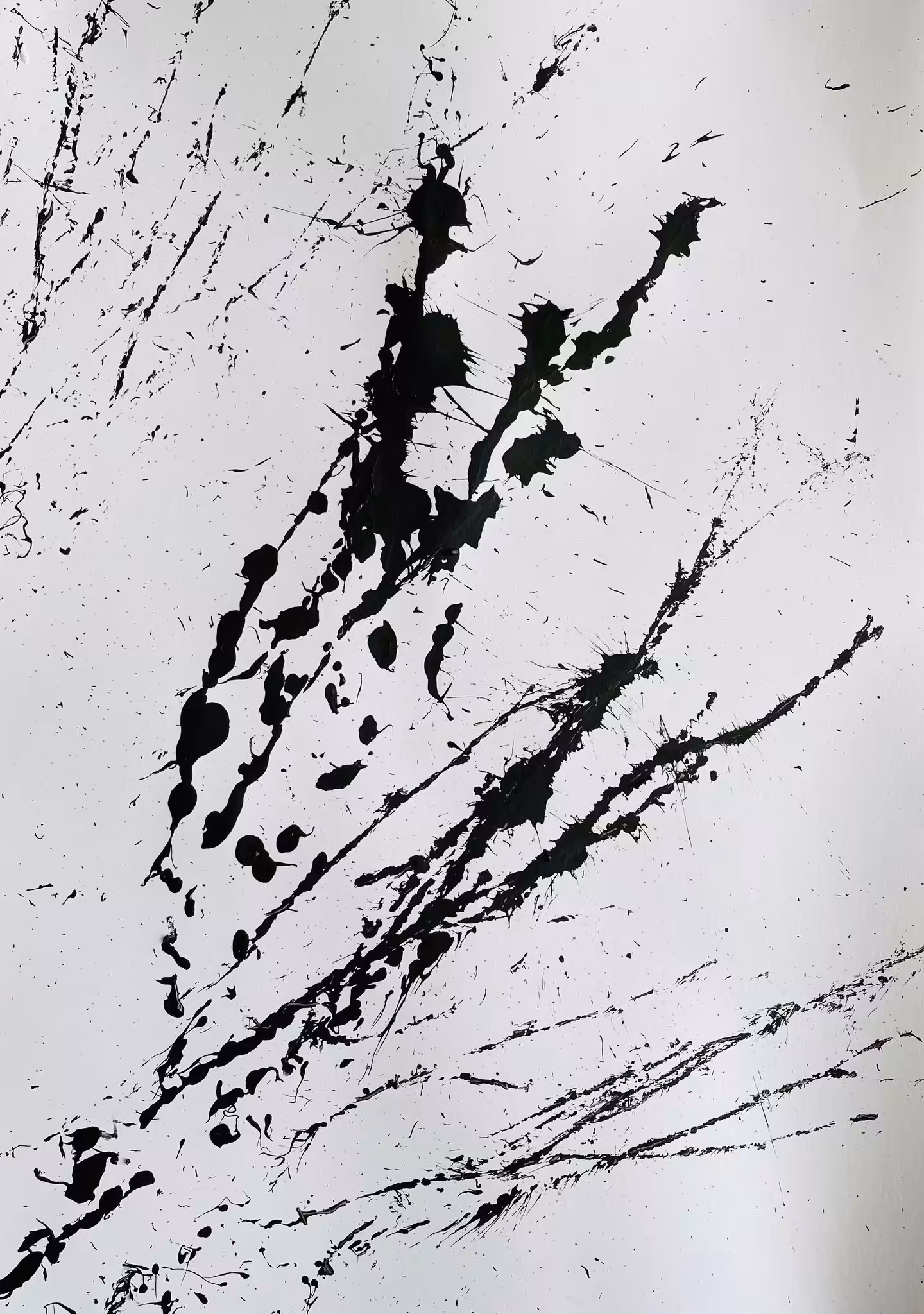 Through the branches 𝐈 𝐈