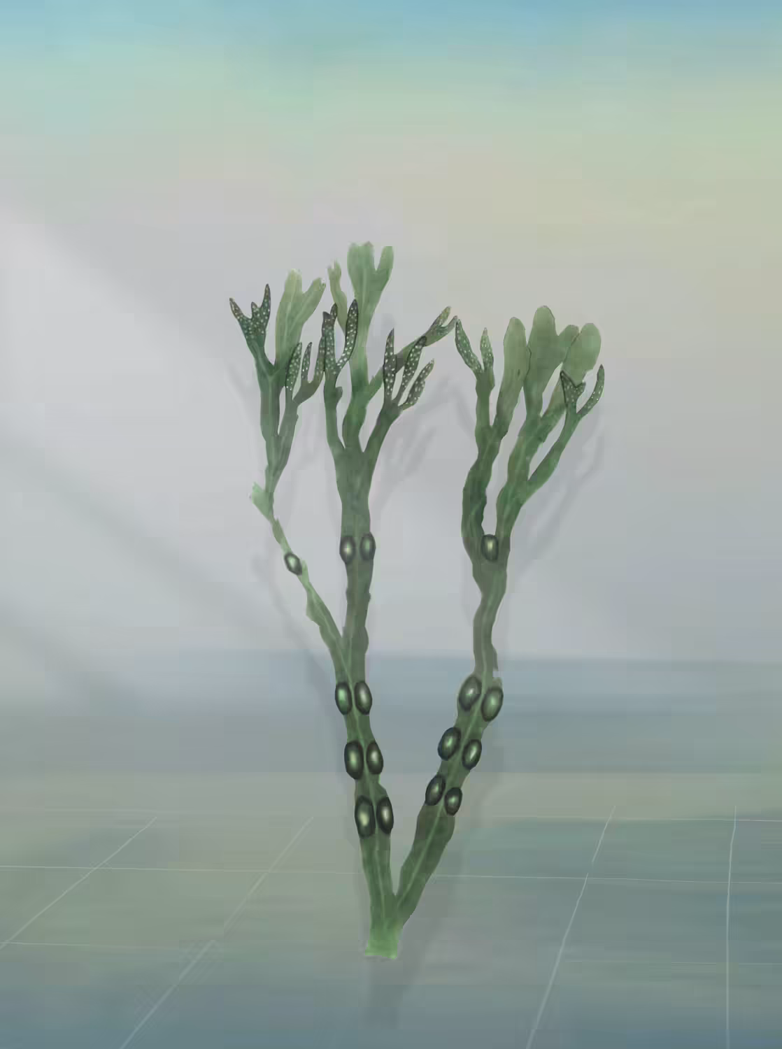 Botanical Study #1