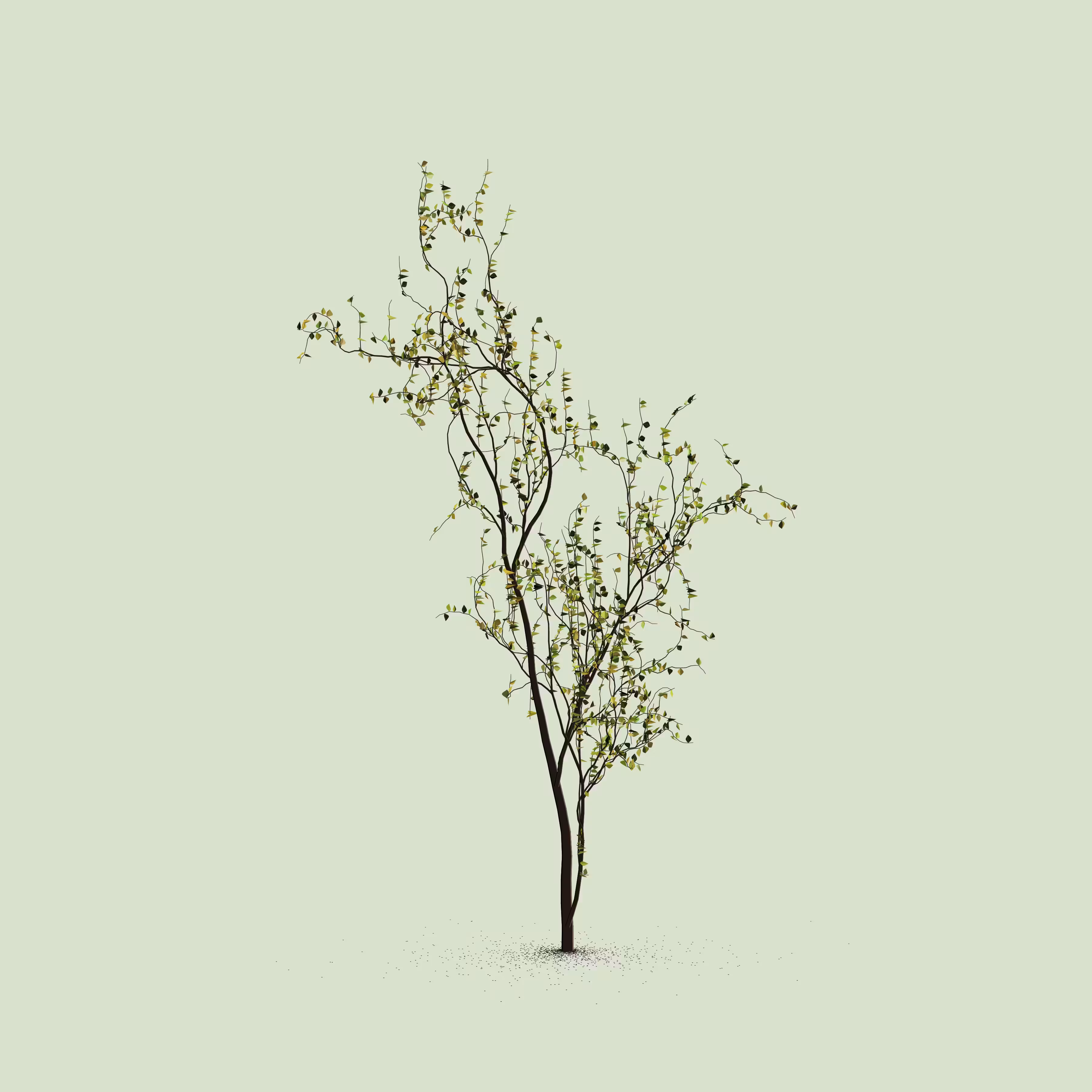Little Trees #225