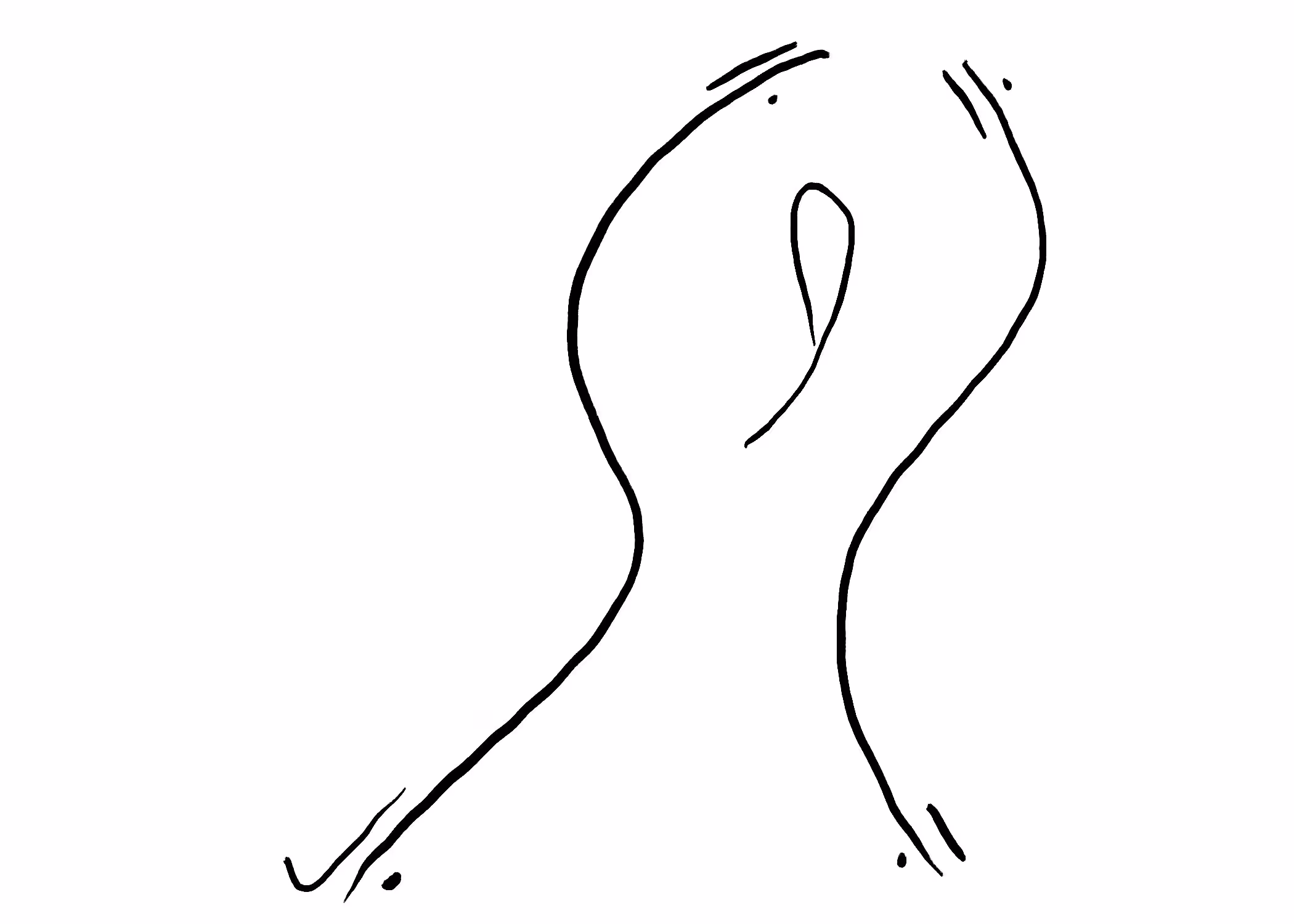 Carrying over the head