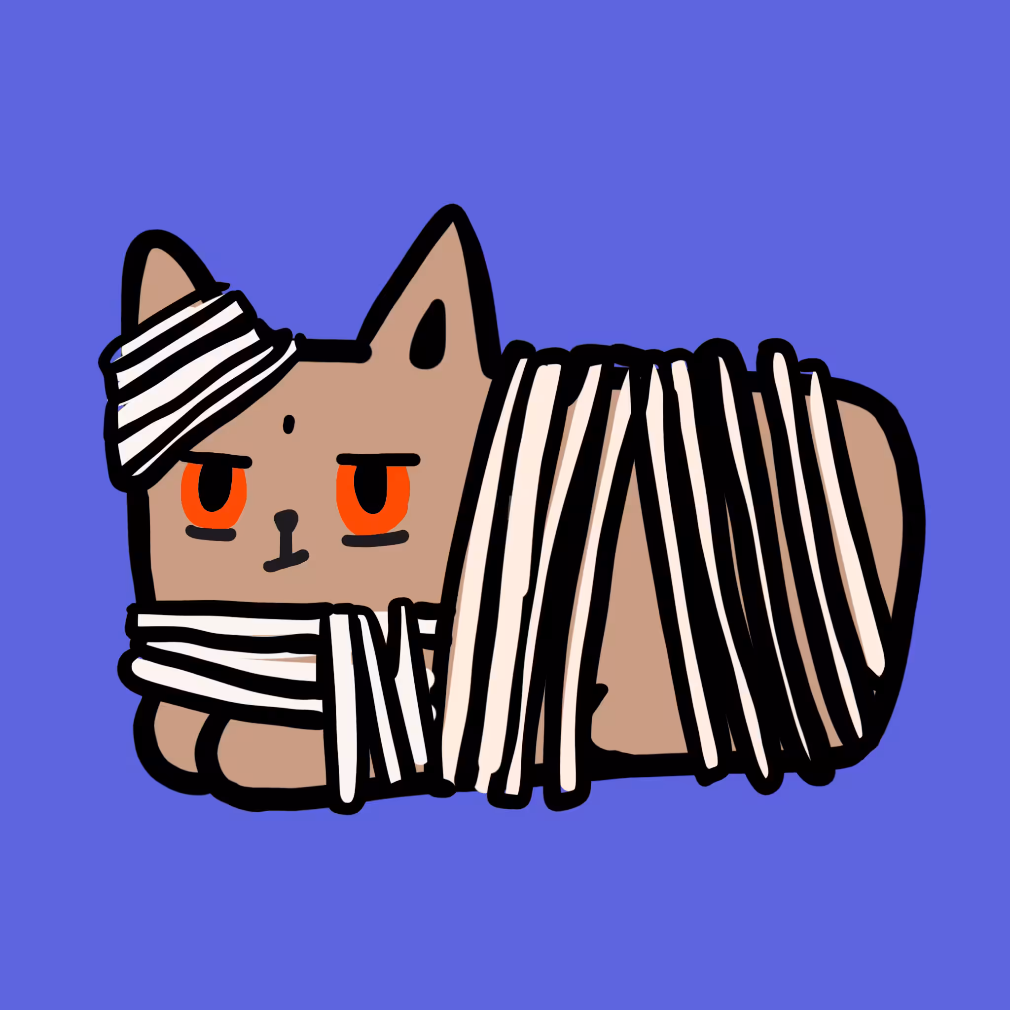 Sunny Cat 31
