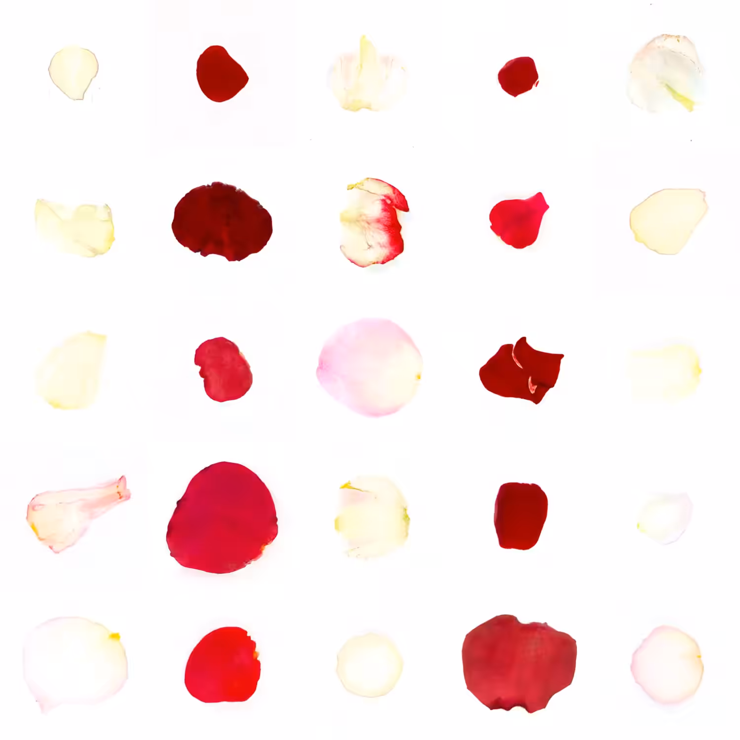 Infinite Petals 5x5#20154